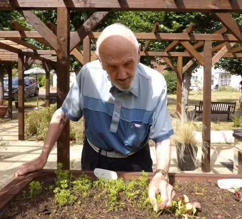 Community garden projects 