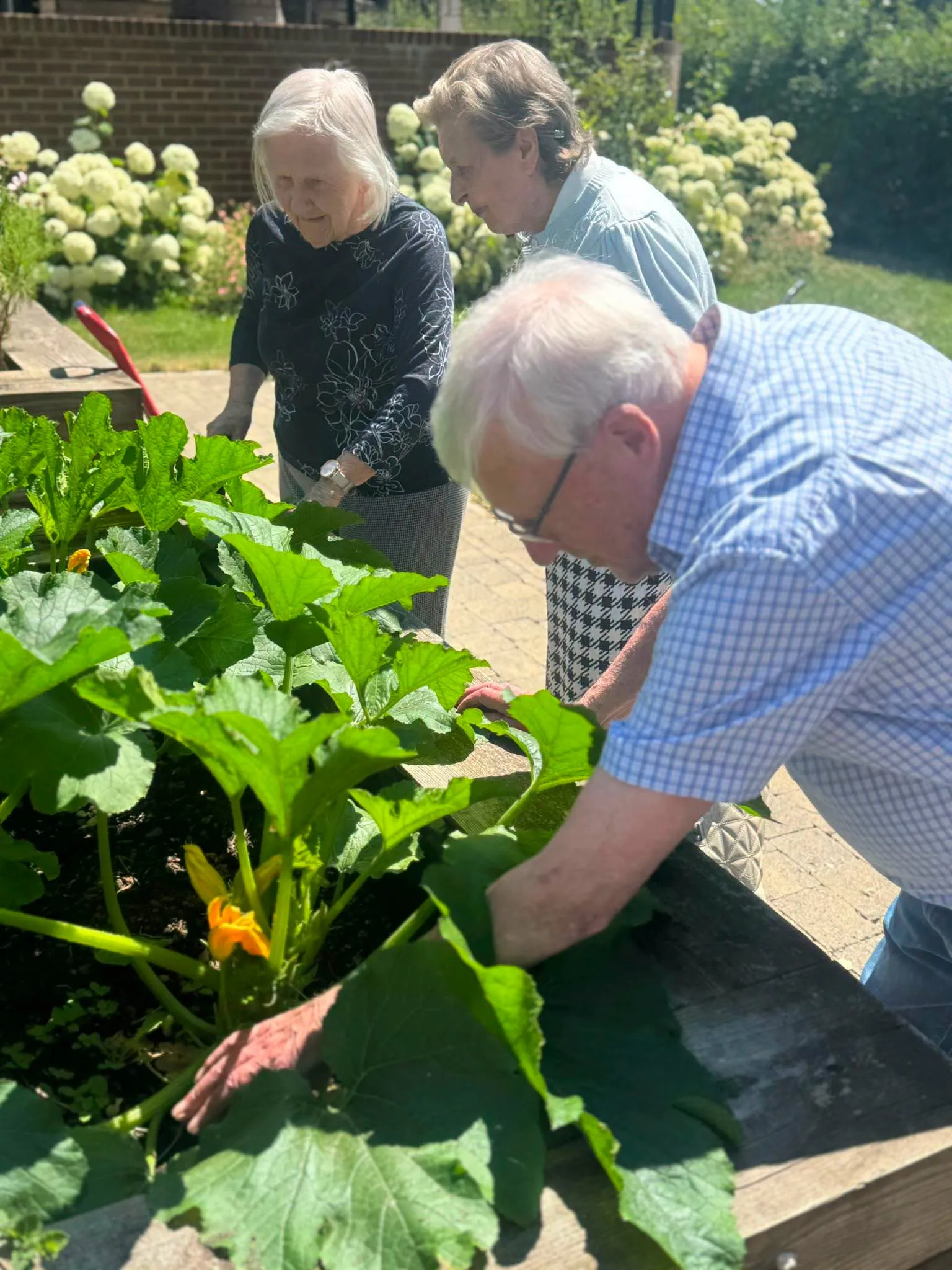 Gardening Club-Nothing Beats Home Grown