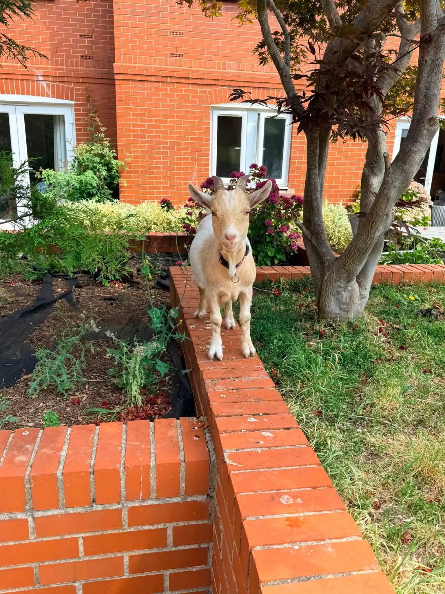 The Good day Farm Visit