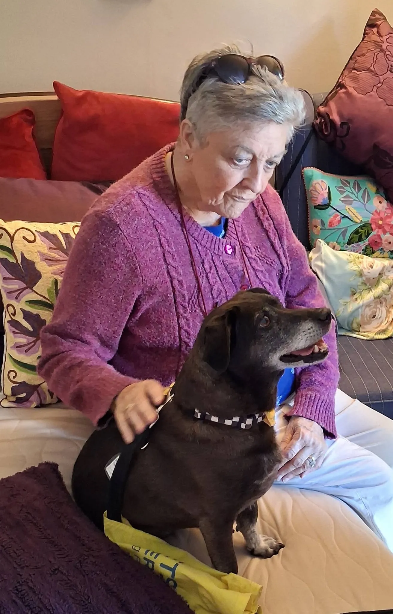 Therapy Dog Visit
