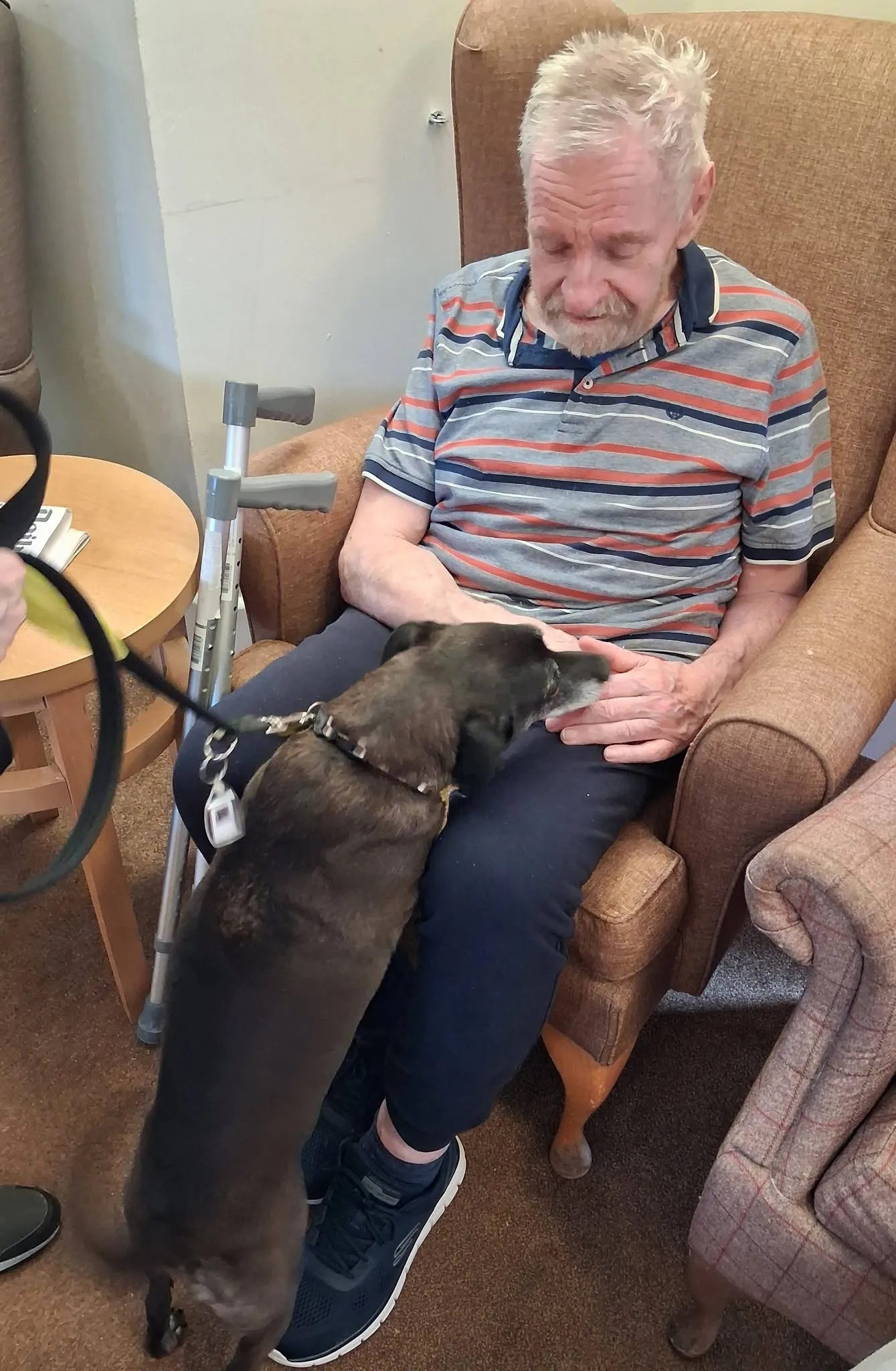 Therapy Dog Visit