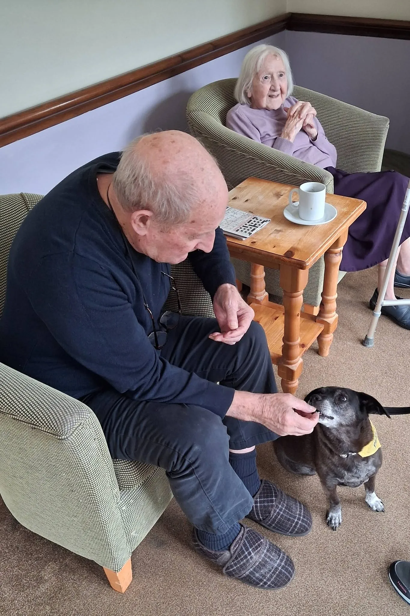 Therapy Dog Visit