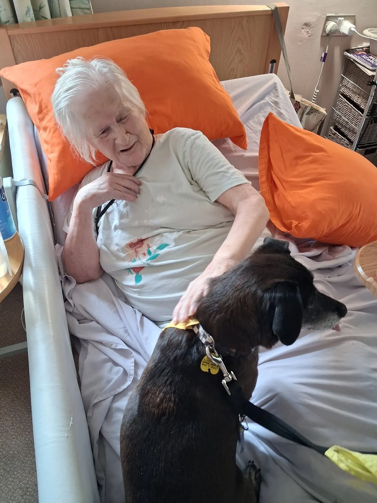 Therapy Dog Visit
