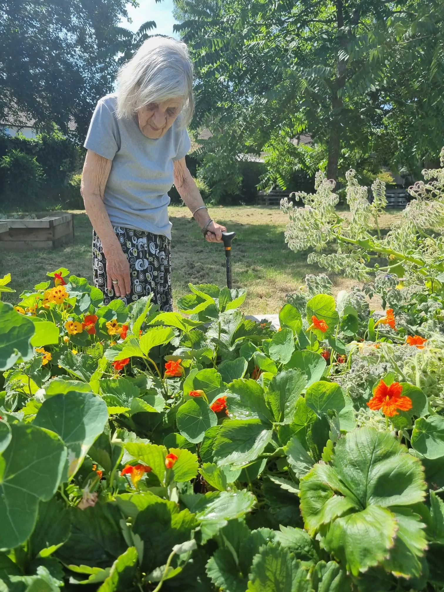 Growing Together at Basing Hill Community Garden