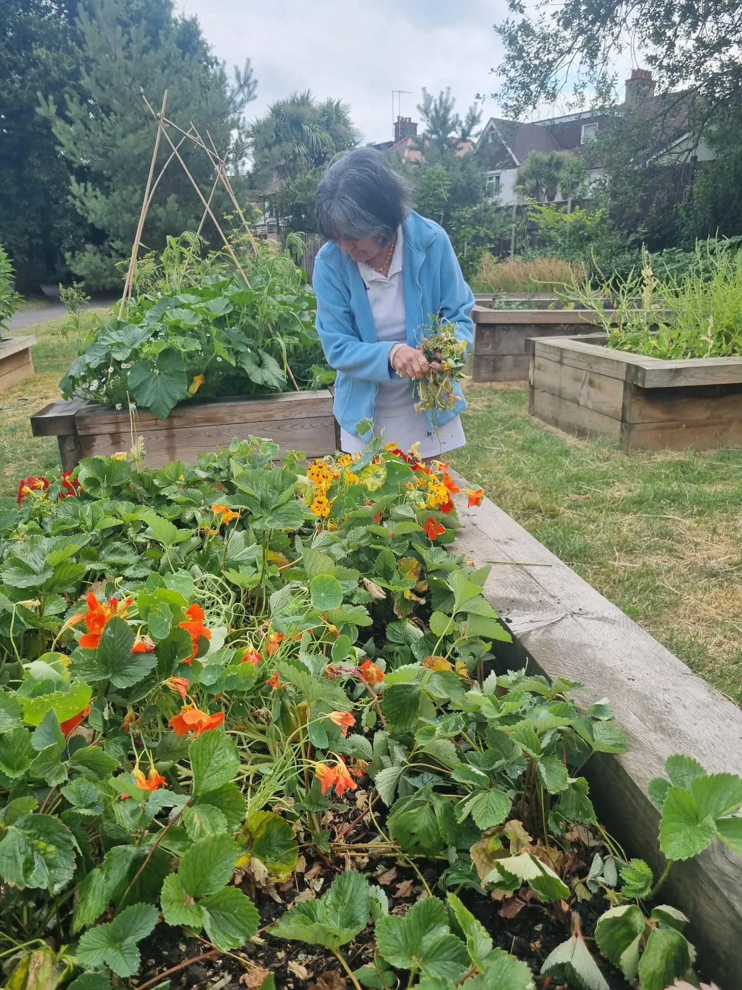 Our Gardening Group Continues to Grow