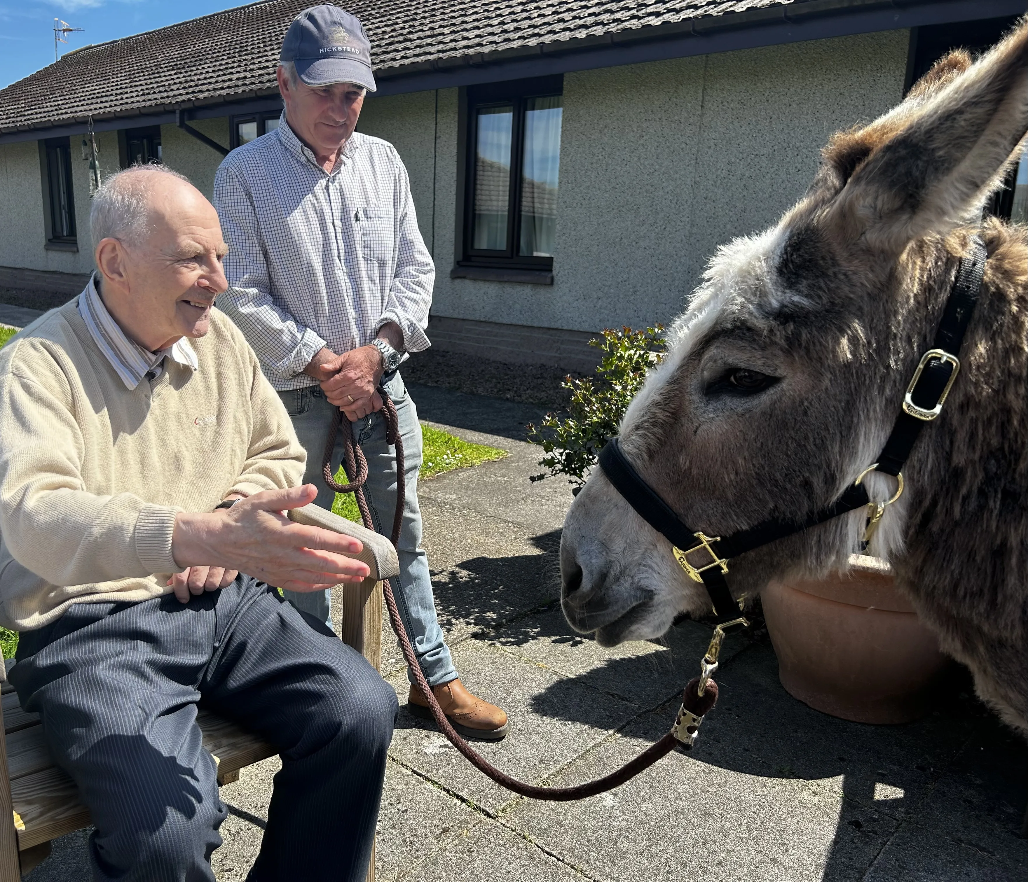 Donkey Visit 