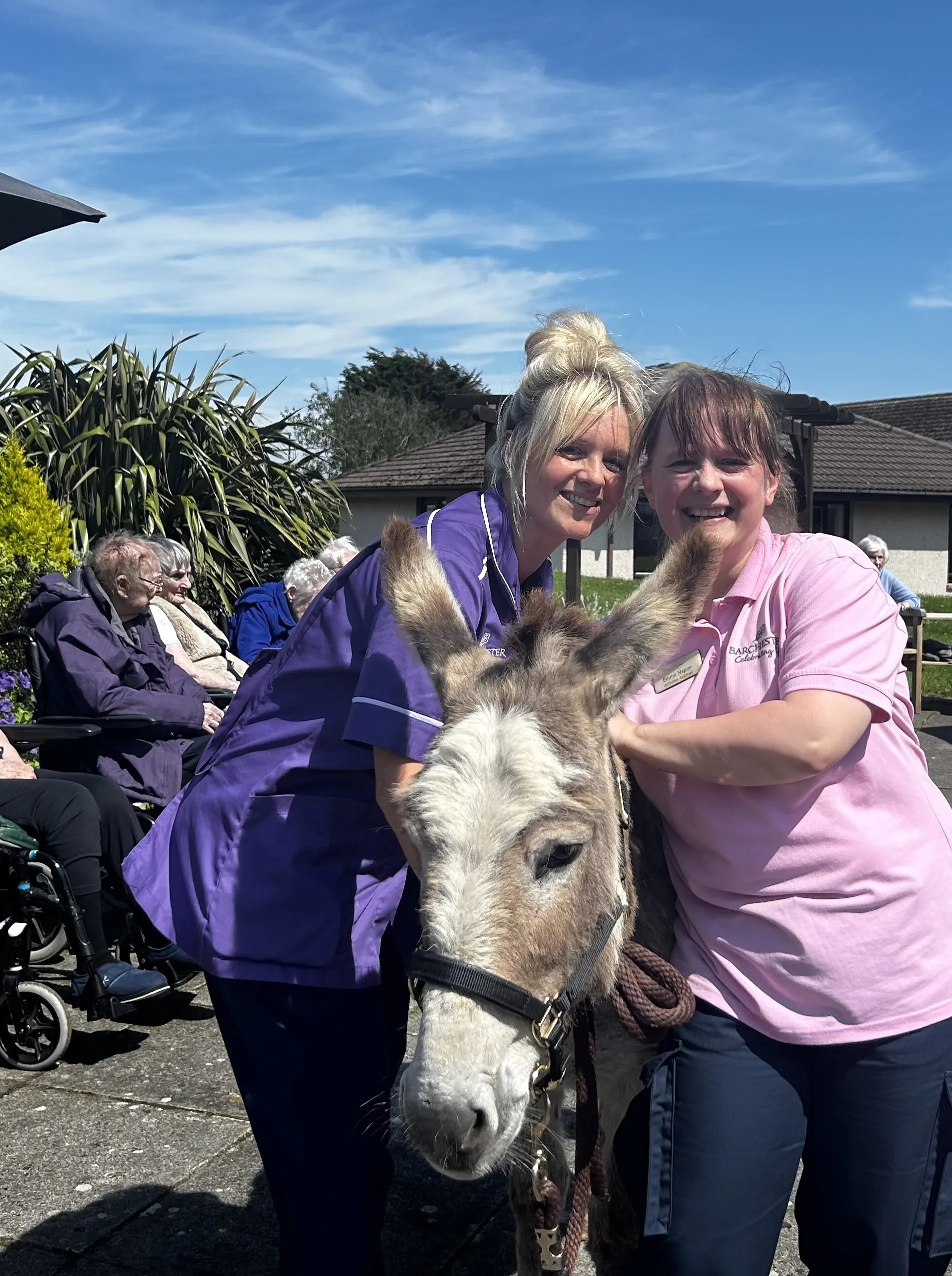 Donkey Visit 