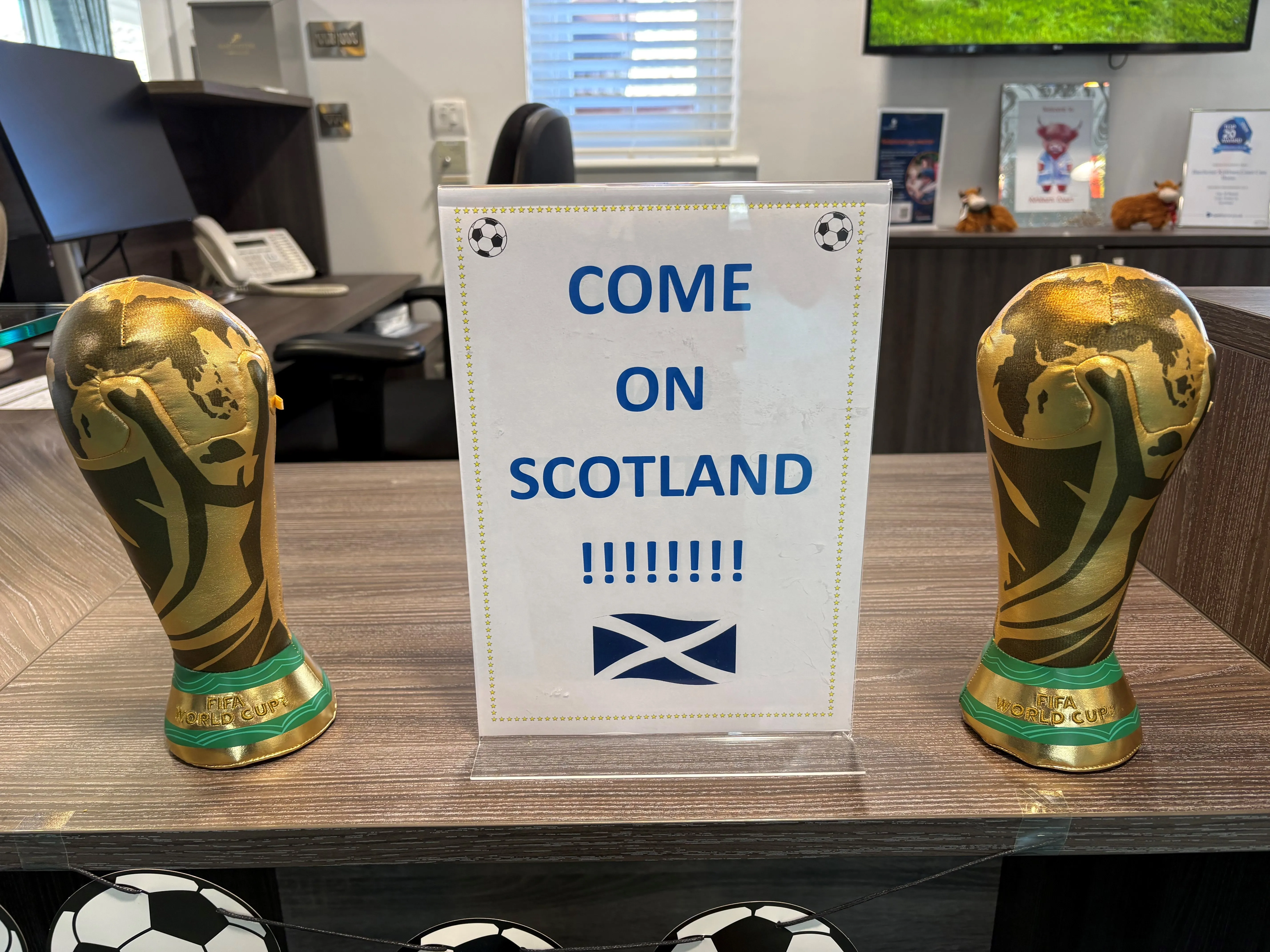 World cup celebrations 