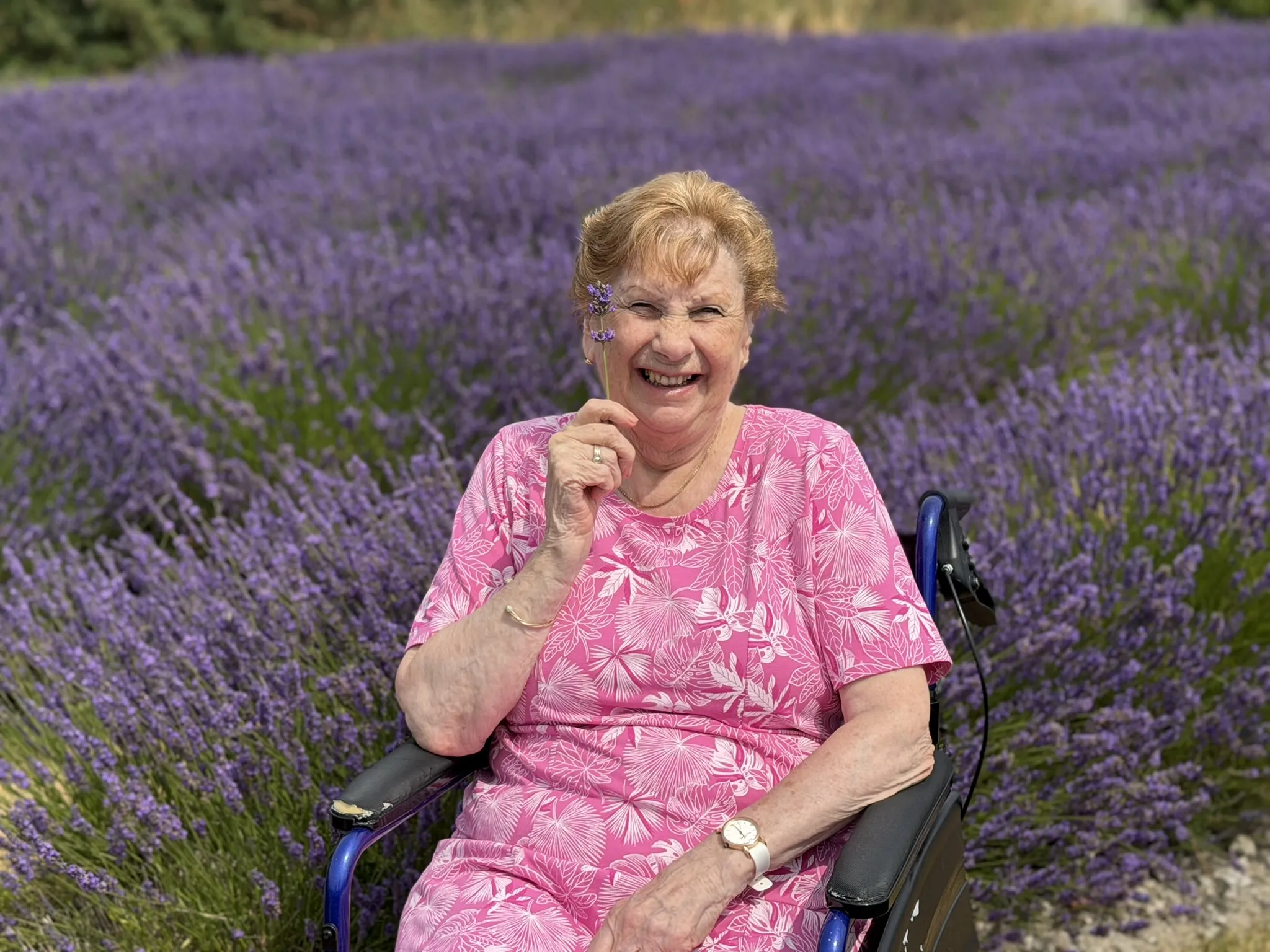 Lavender Fields Outings