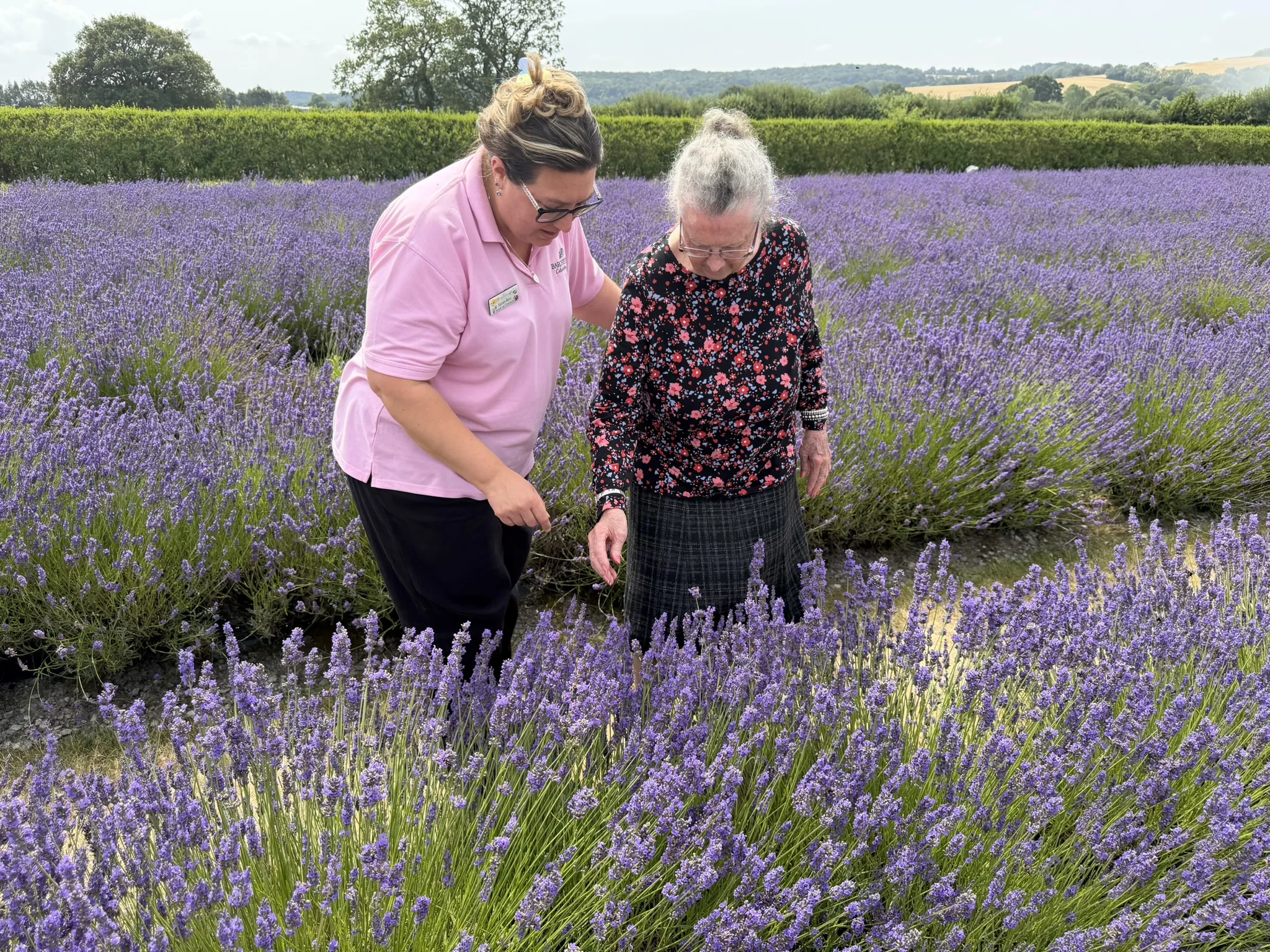 Lavender Fields Outings