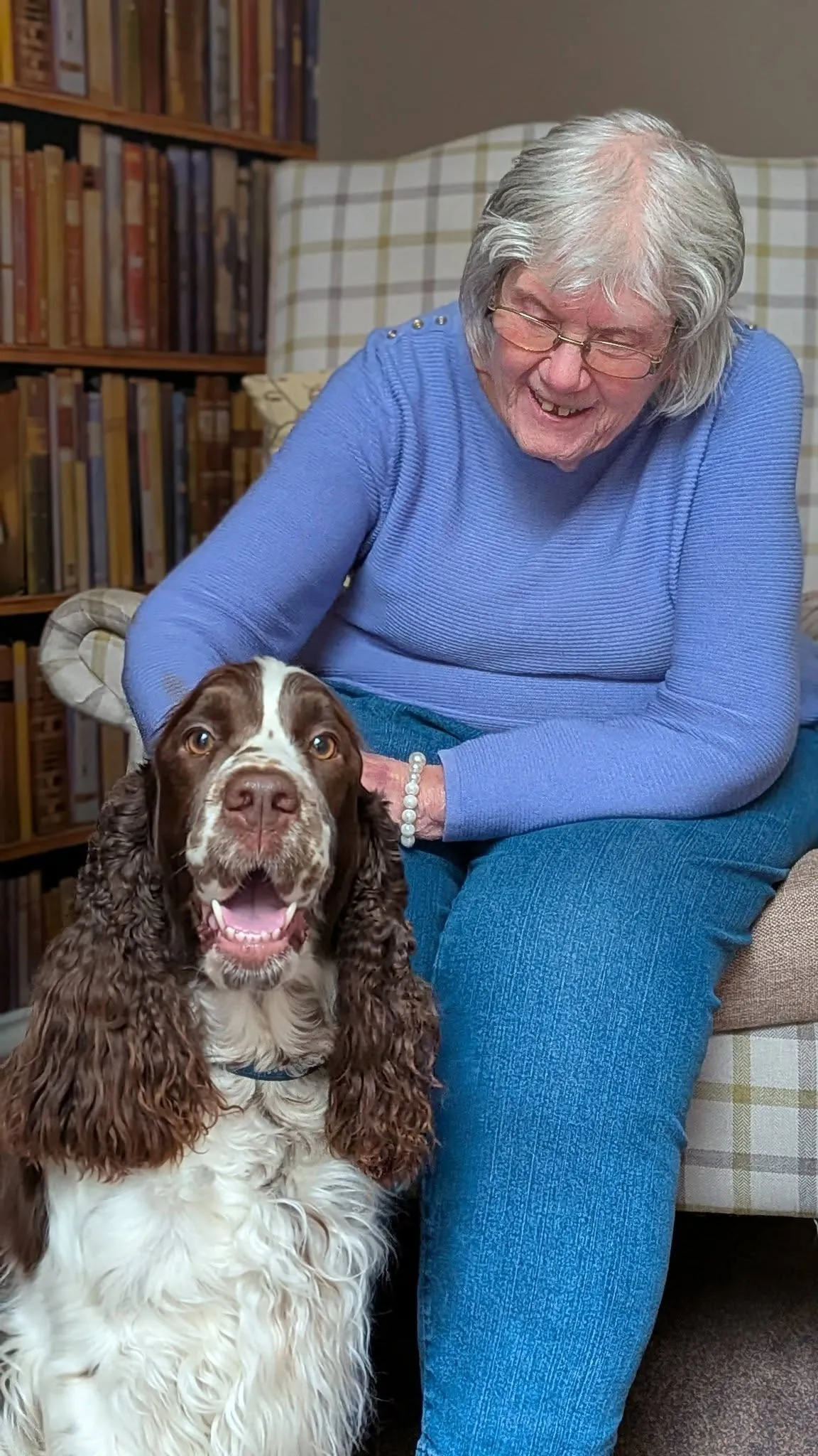 PAT Dog