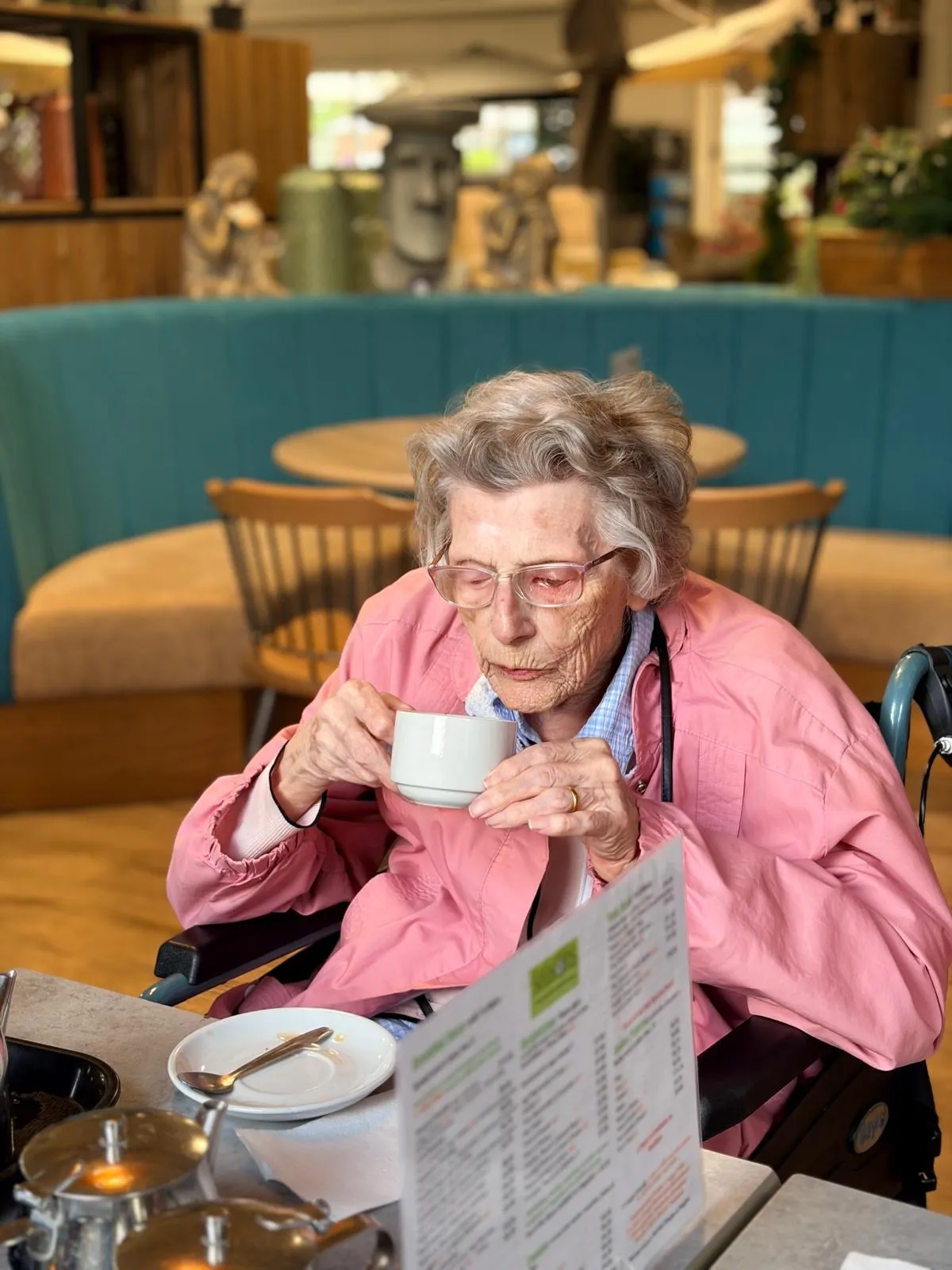 A day at Knights Garden Centre