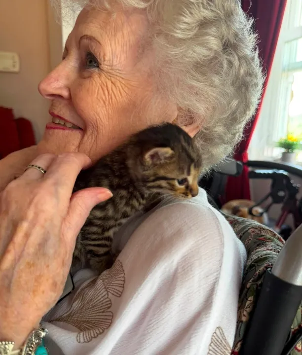 Purr-fect National Kitten Day 