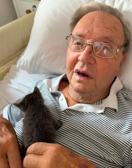 Purr-fect National Kitten Day 