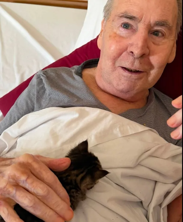 Purr-fect National Kitten Day 