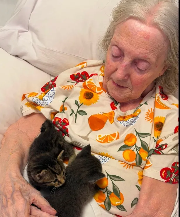 Purr-fect National Kitten Day 