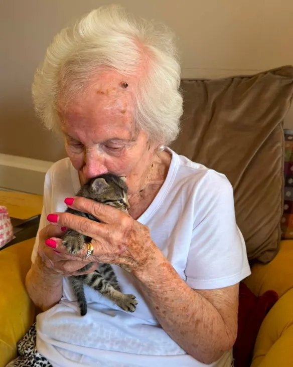 Purr-fect National Kitten Day 