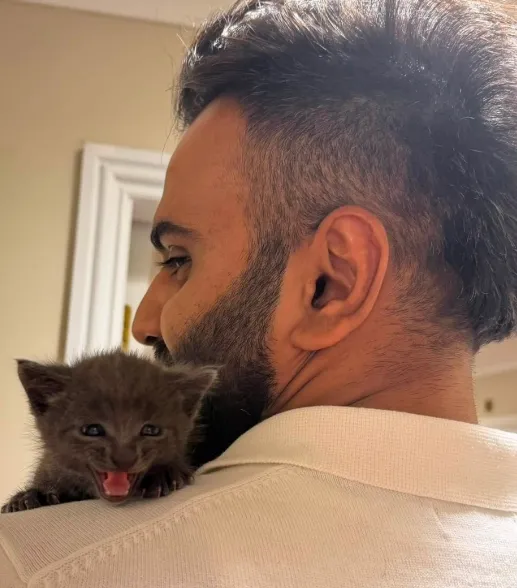 Purr-fect National Kitten Day 