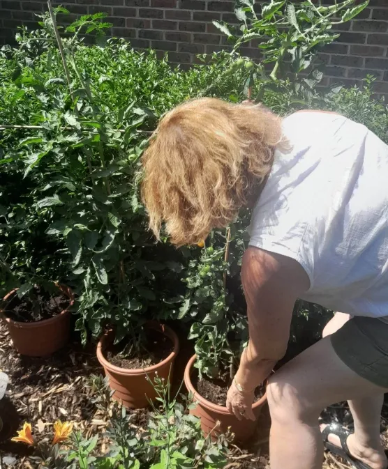 Gardening Joys in the Courtyard!