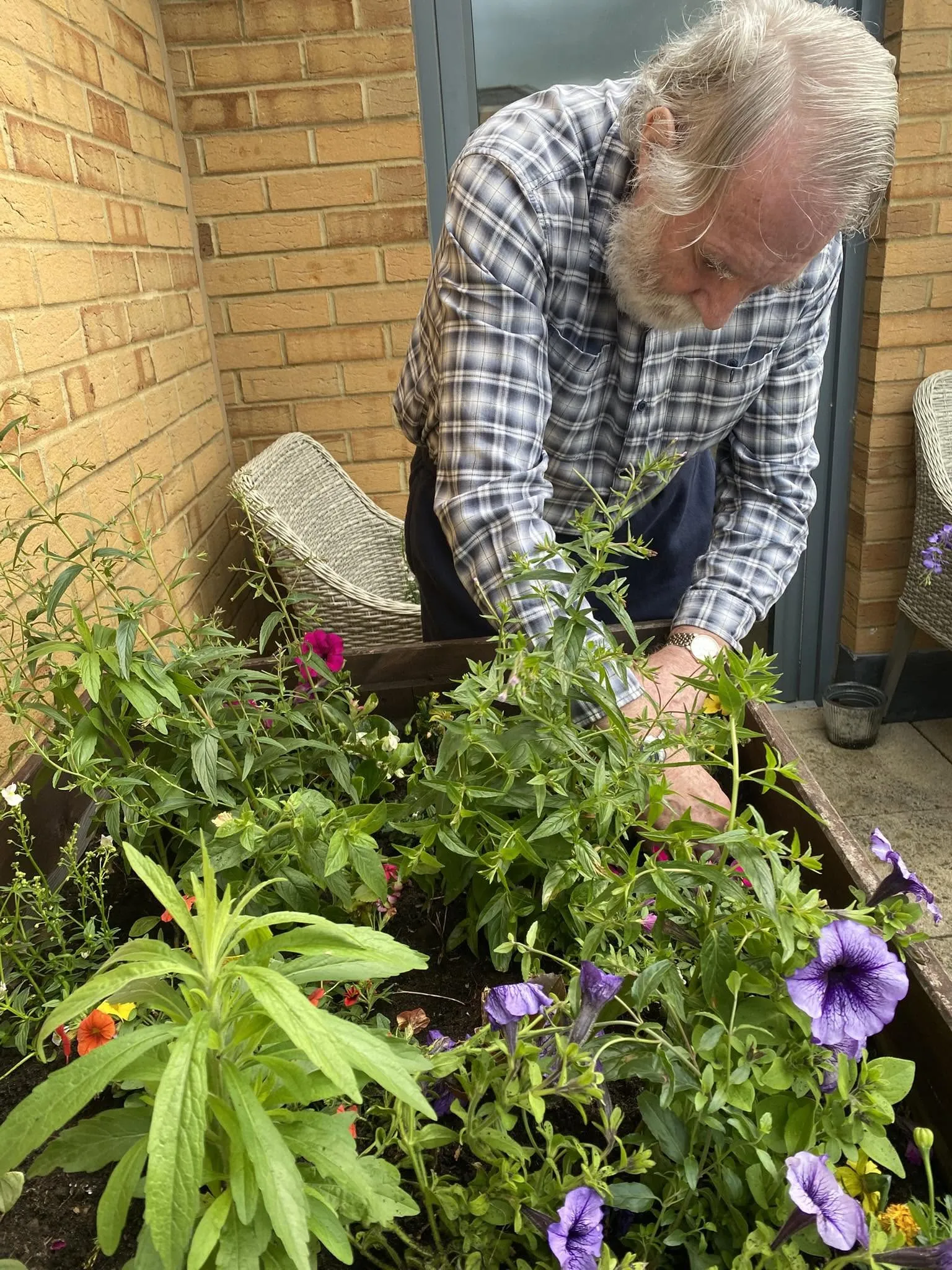 Gardening club
