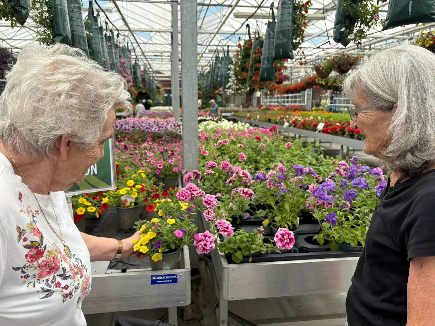 Garden centre visit 