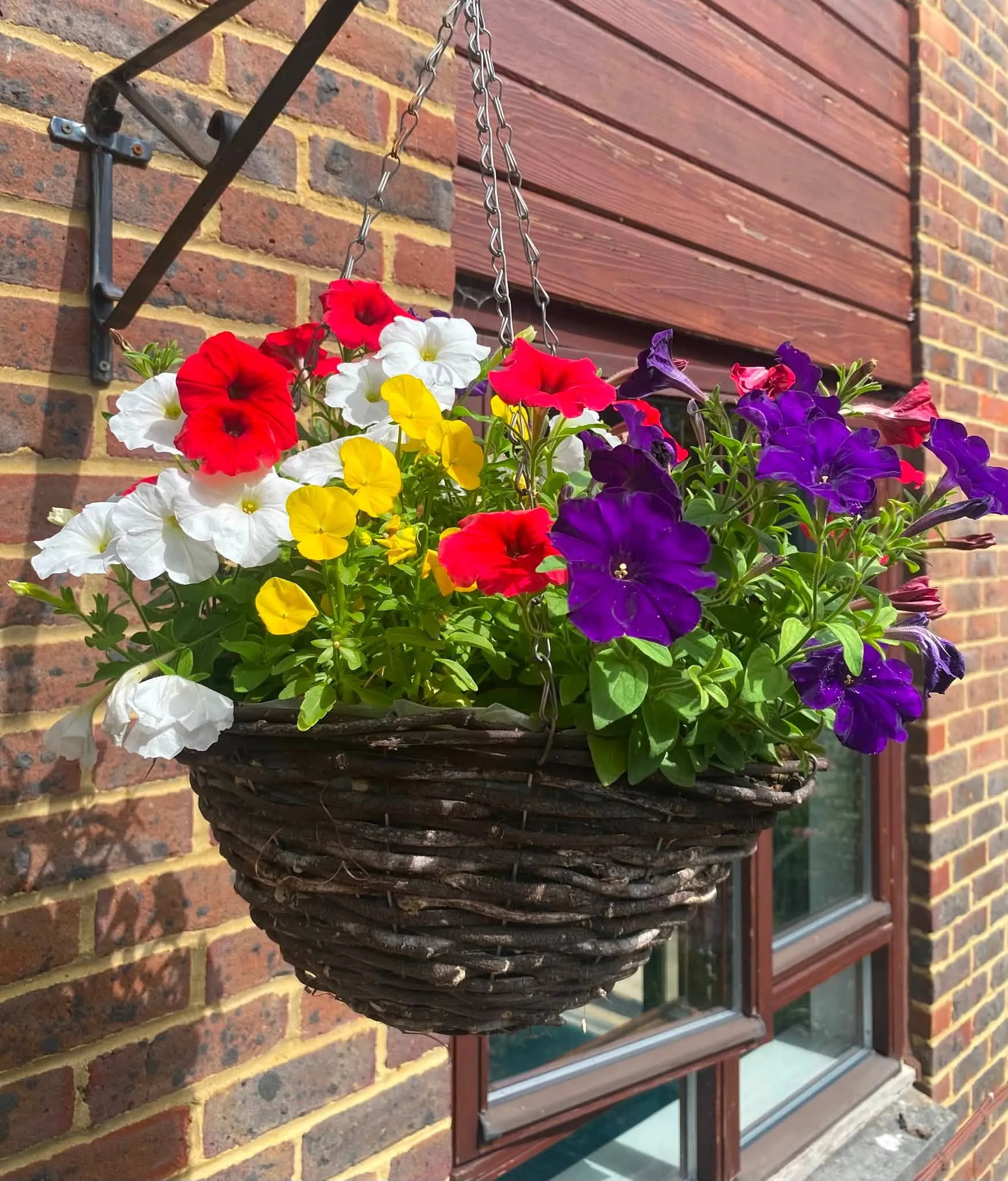 Garden centre trip 