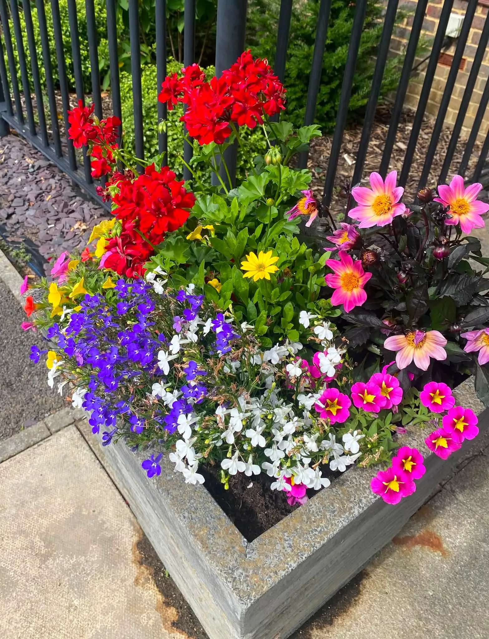 Garden centre trip 