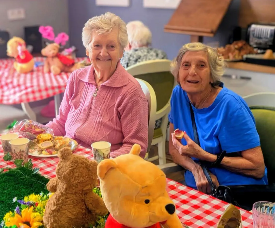 Teddy bear's picnic