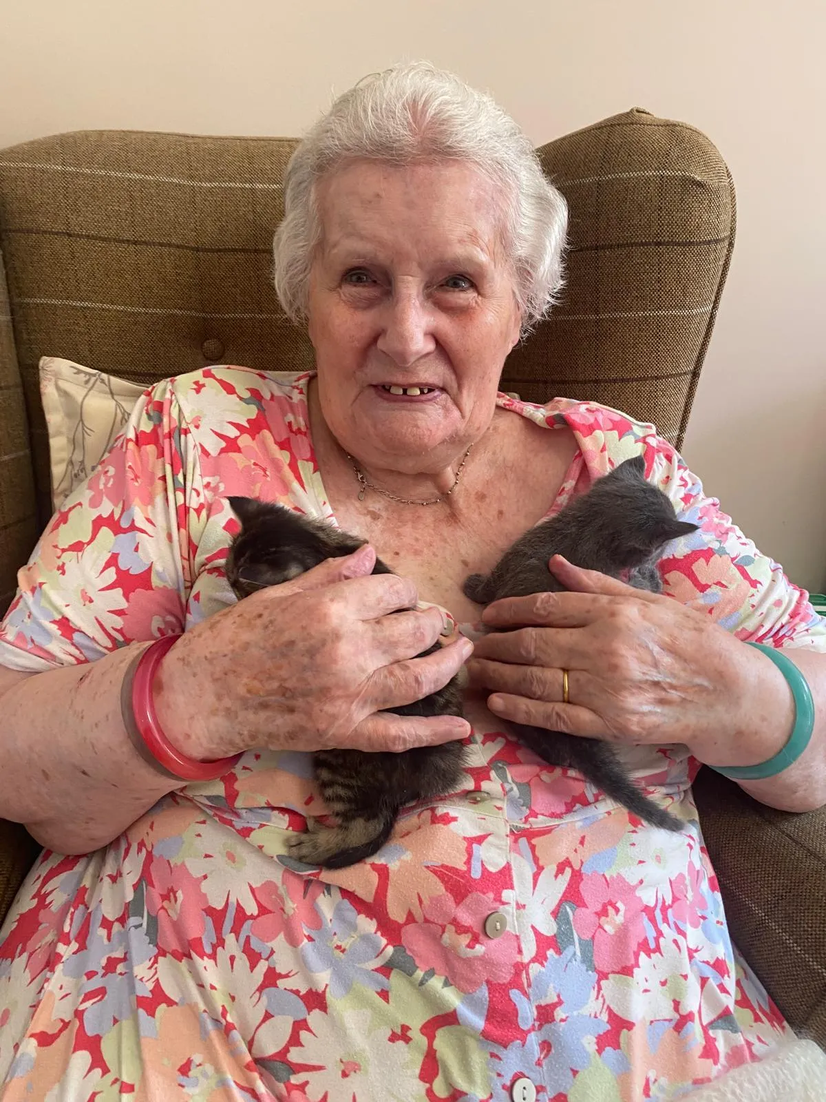 Purr-fect National Kitten Day 