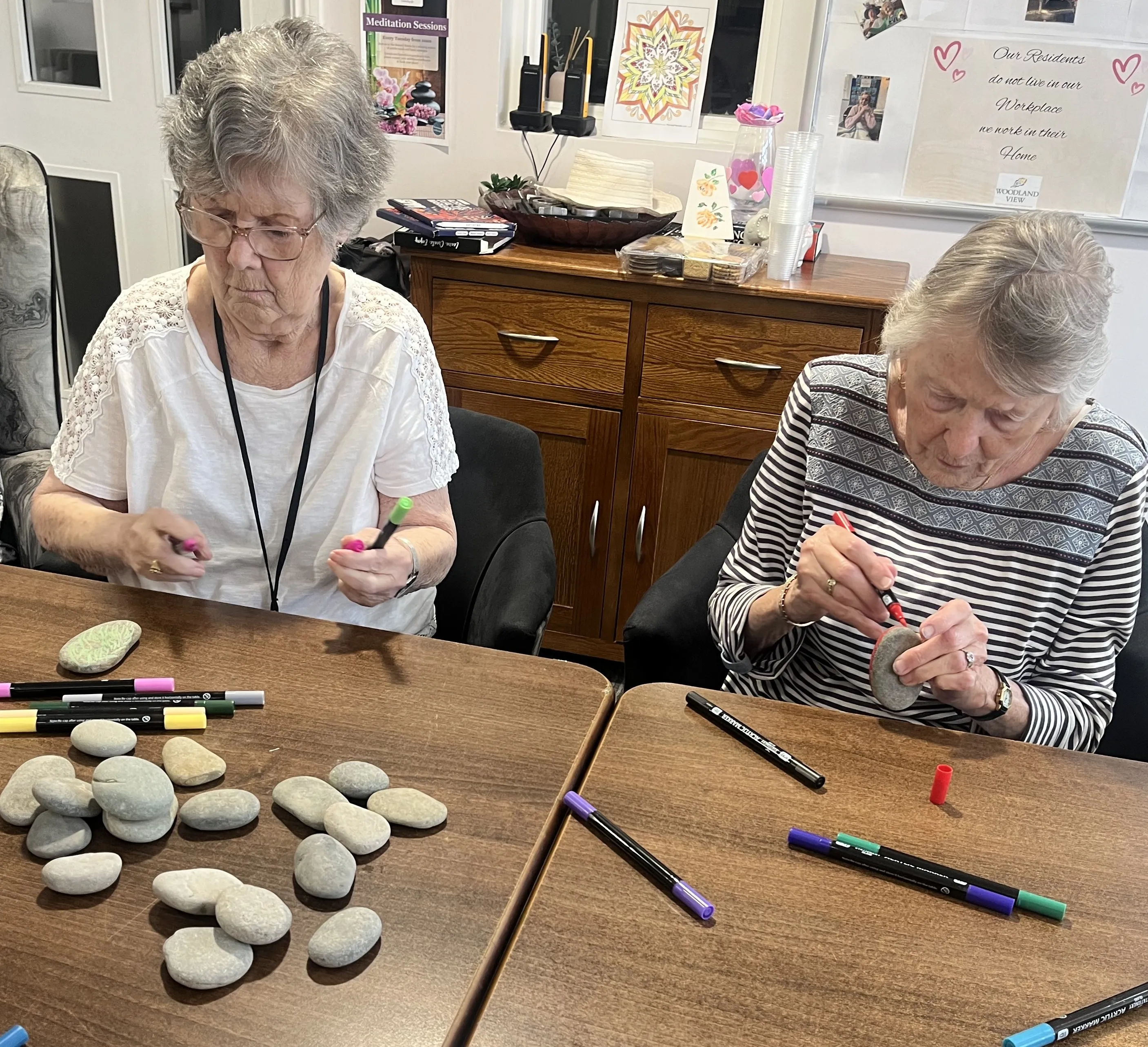 Community Brownies Evening Visit 