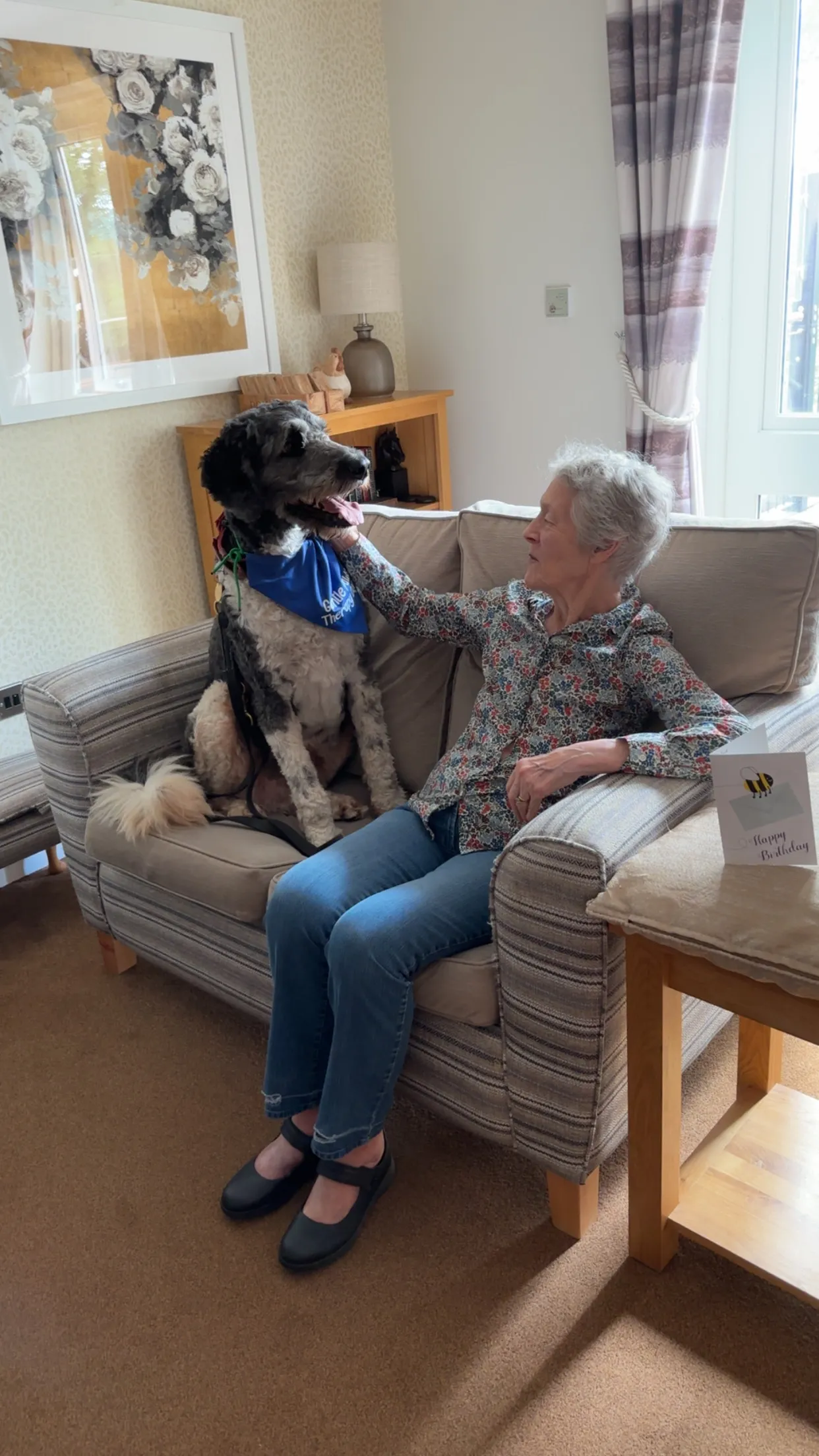 Soft Paws Therapy Dog
