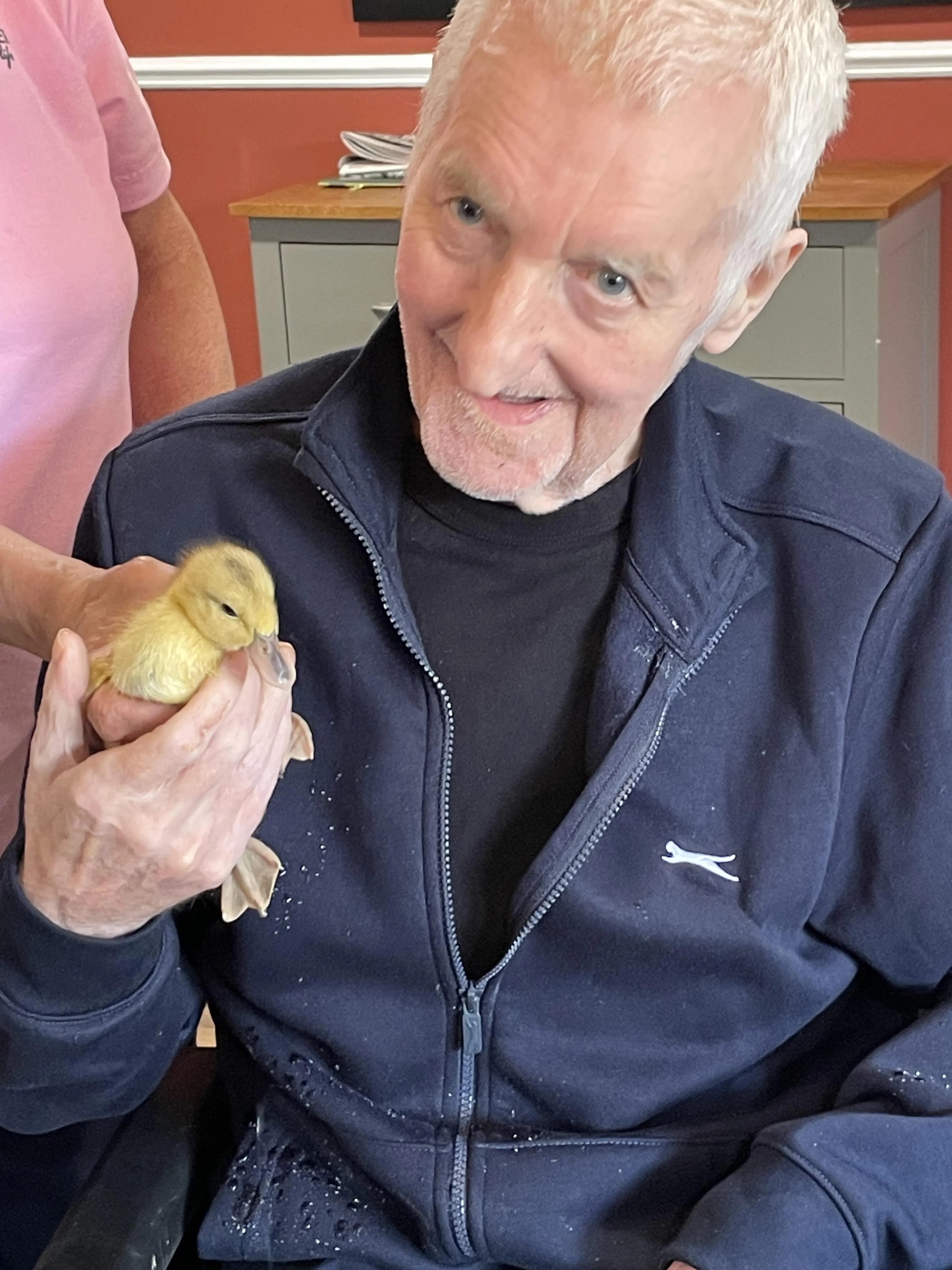 Animal visits