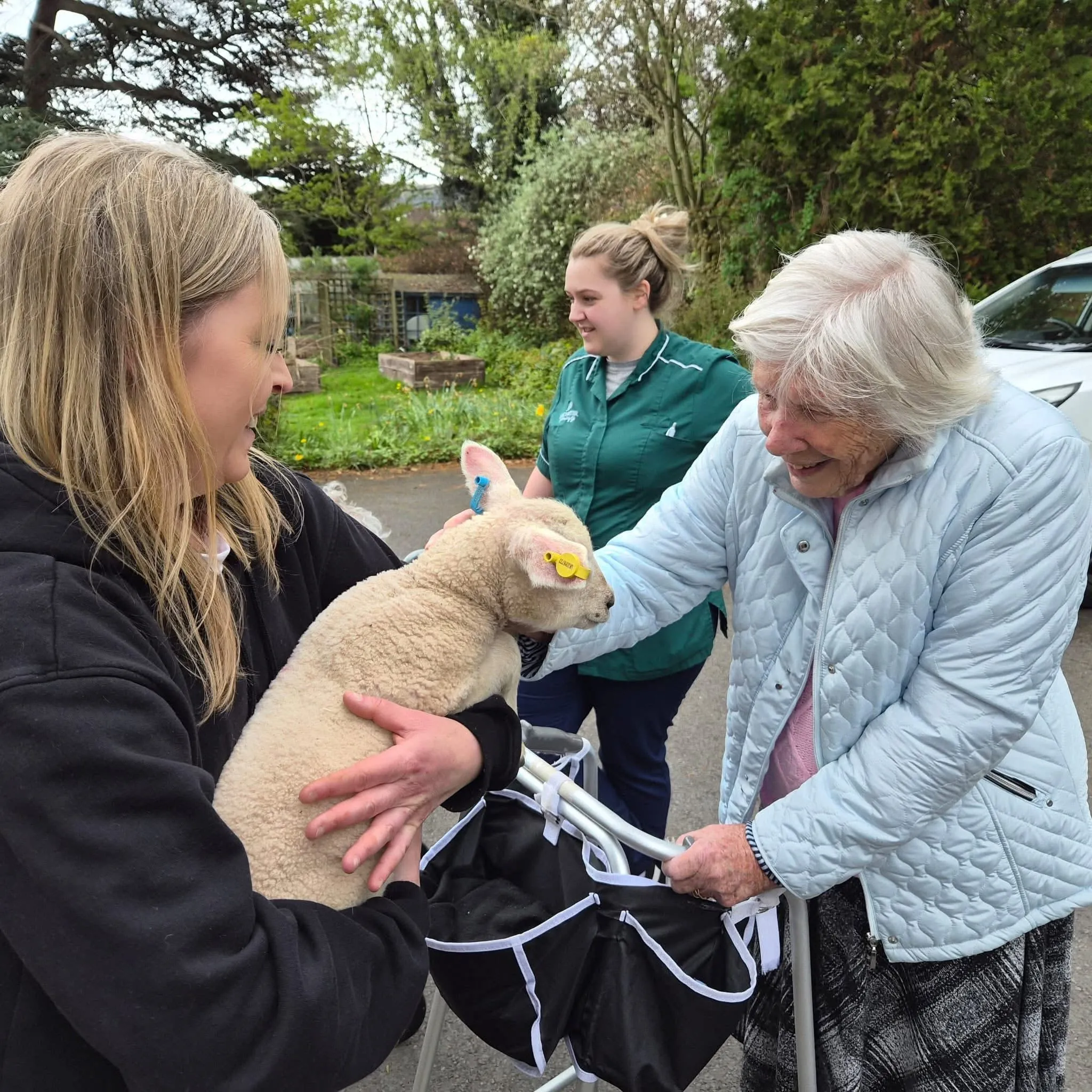 Special Little Visitors at Ross Court