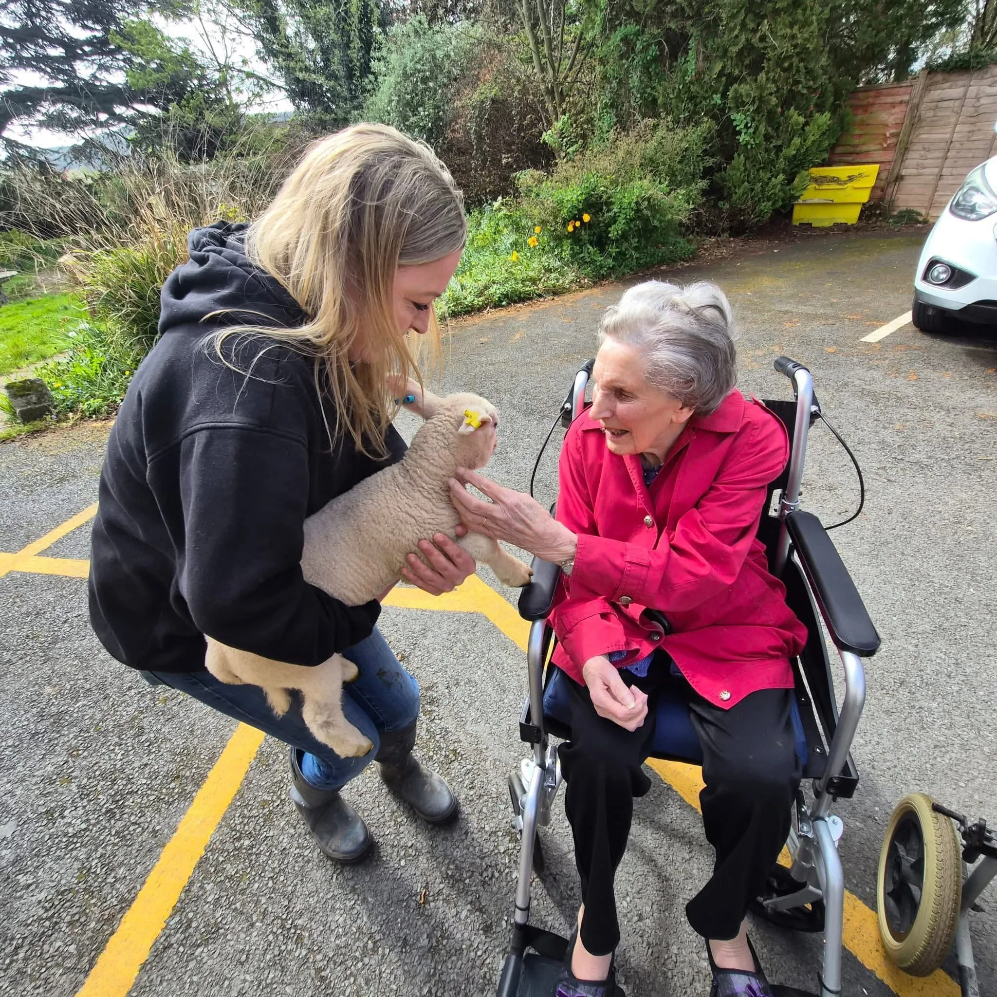 Special Little Visitors at Ross Court