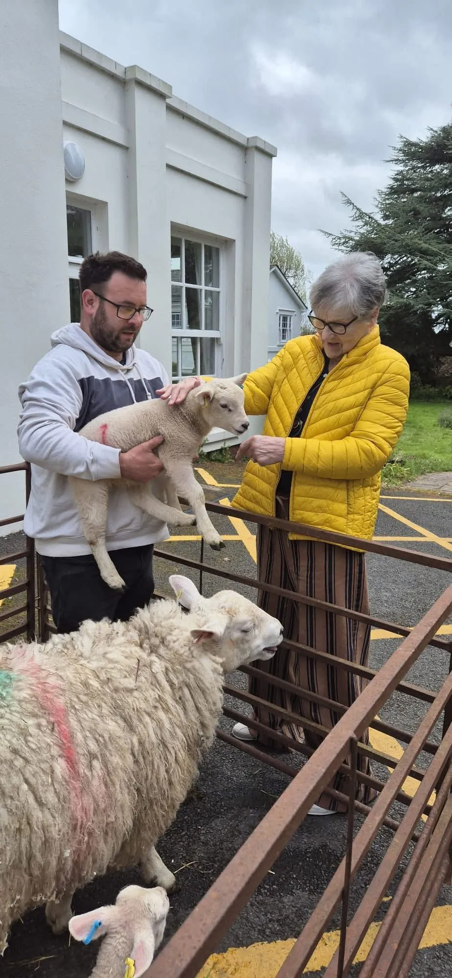 Special Little Visitors at Ross Court