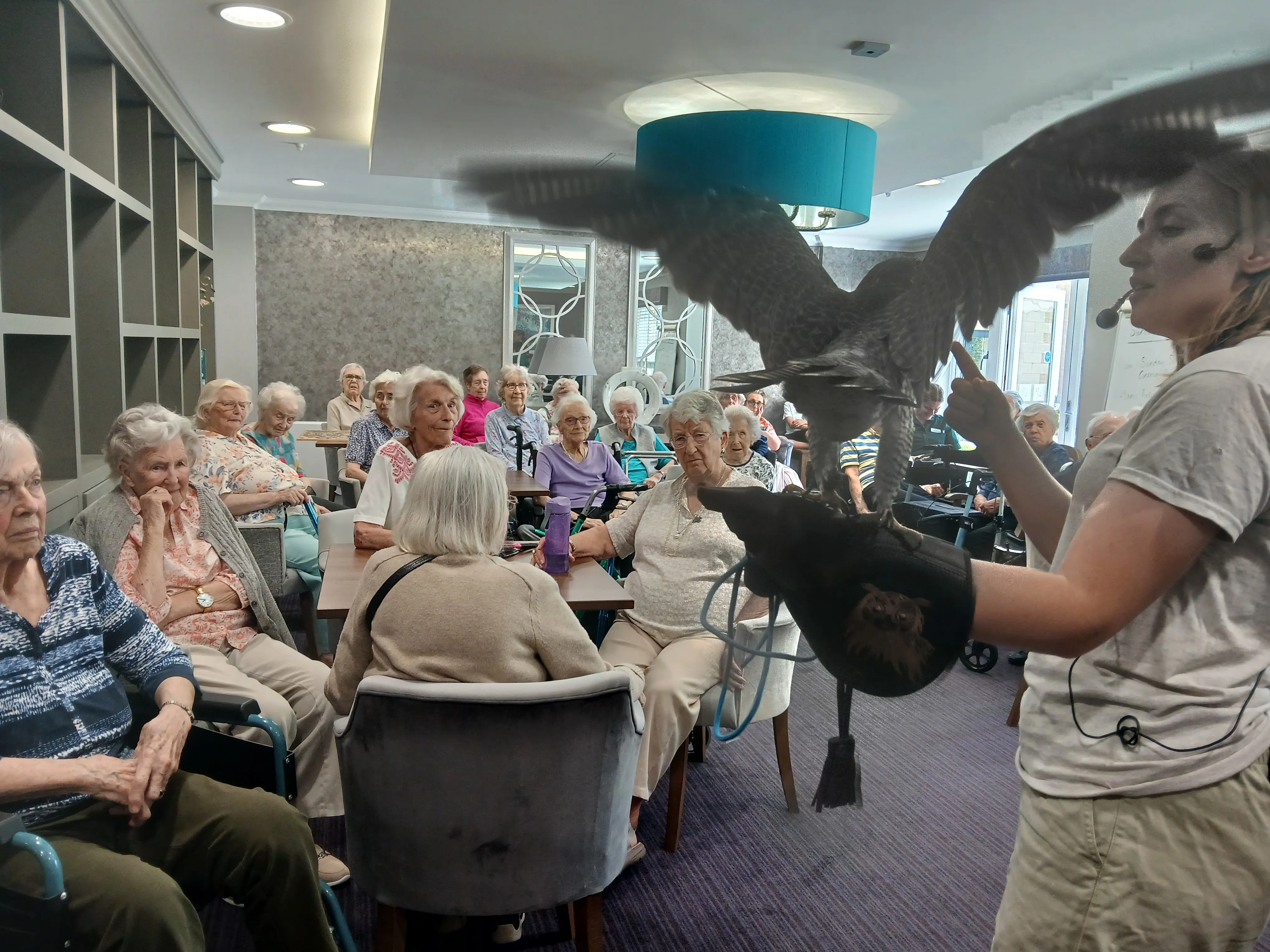 Birds of Prey visit Wilton Place 