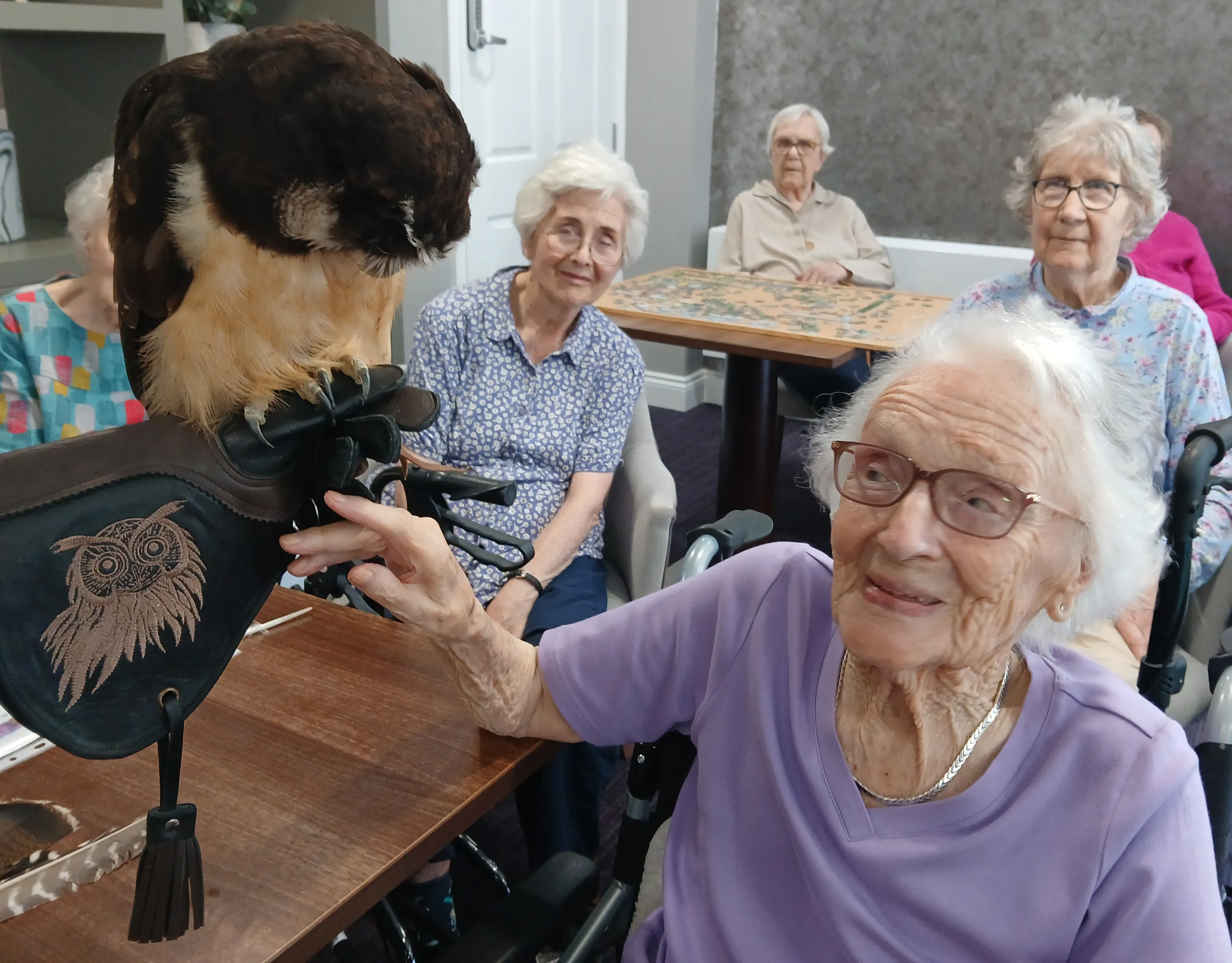 Birds of Prey visit Wilton Place 