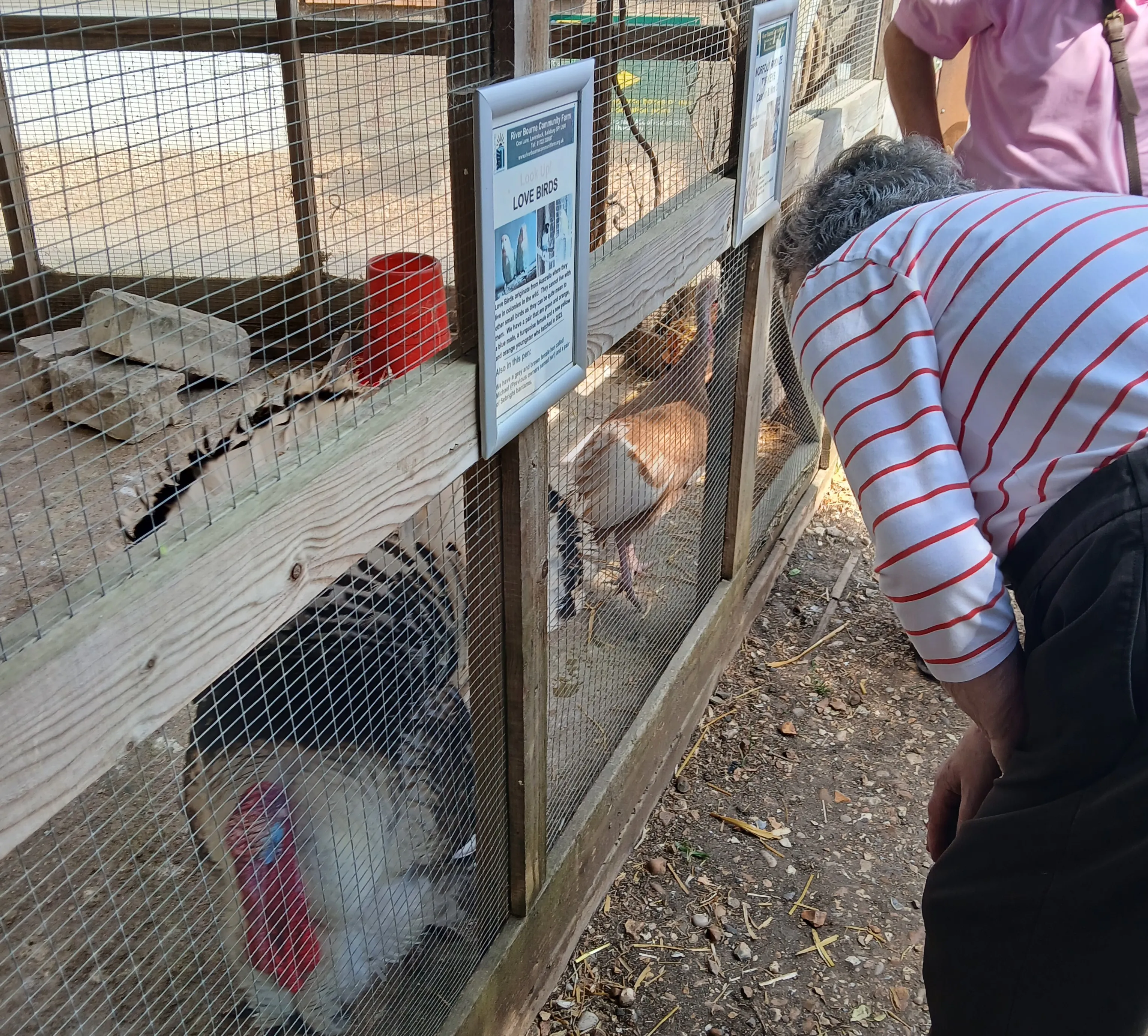 Riverbourne farm trip