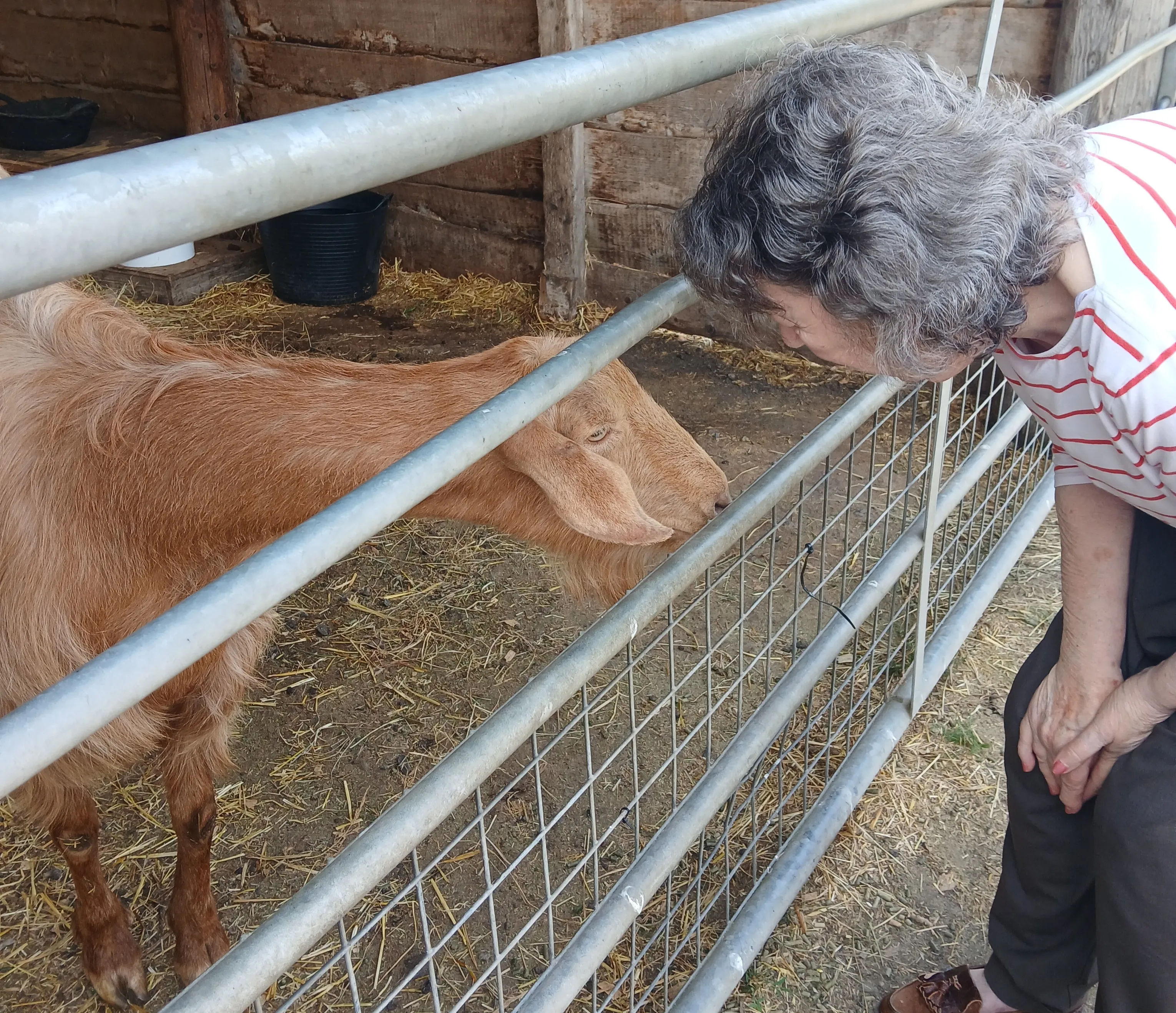 Riverbourne farm trip