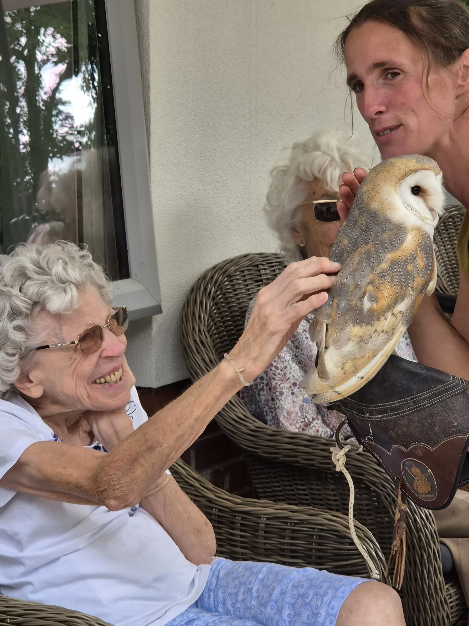 International Owl Awareness Day