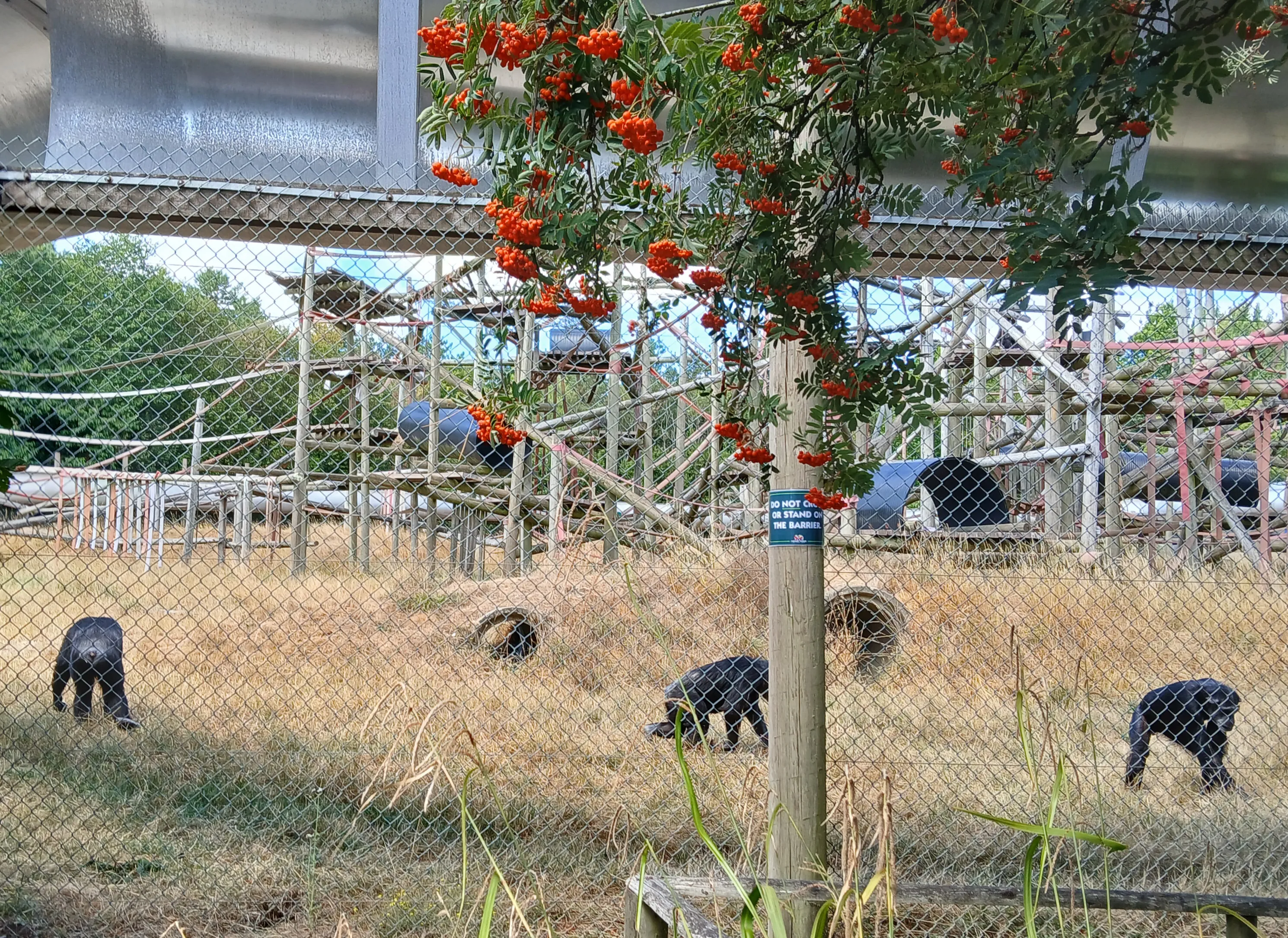 Monkey World bus trip