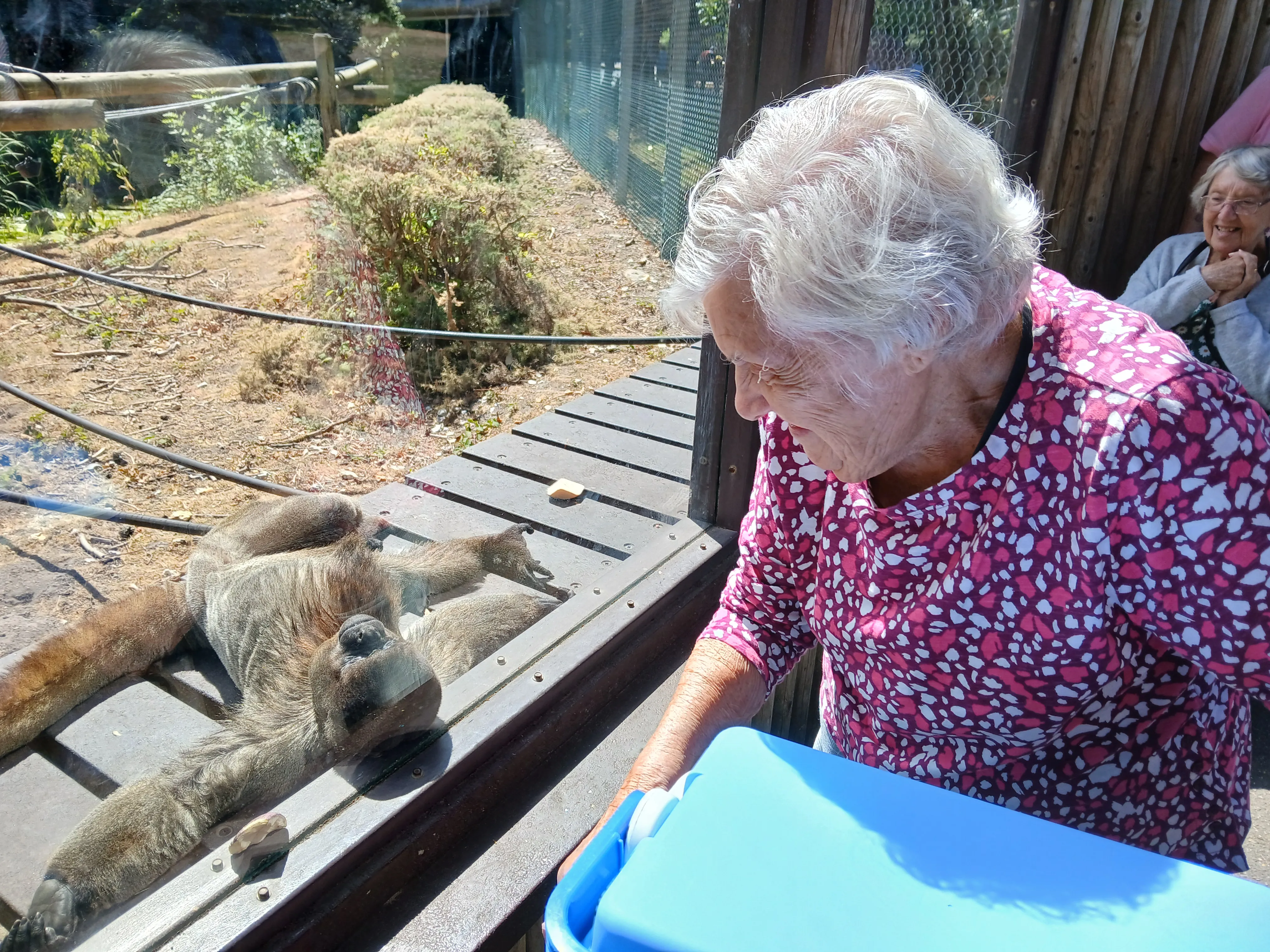 Monkey World bus trip