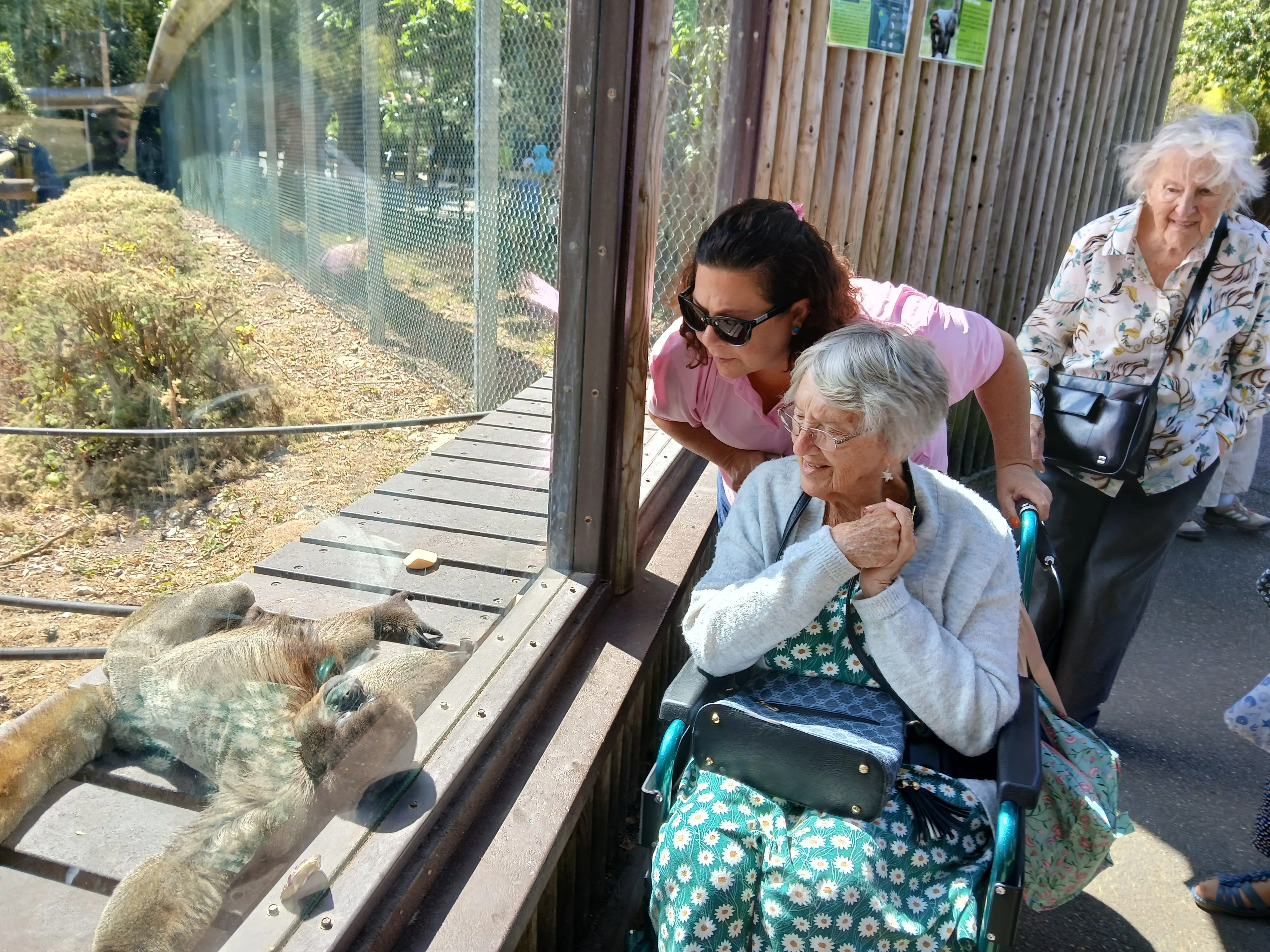 Monkey World bus trip