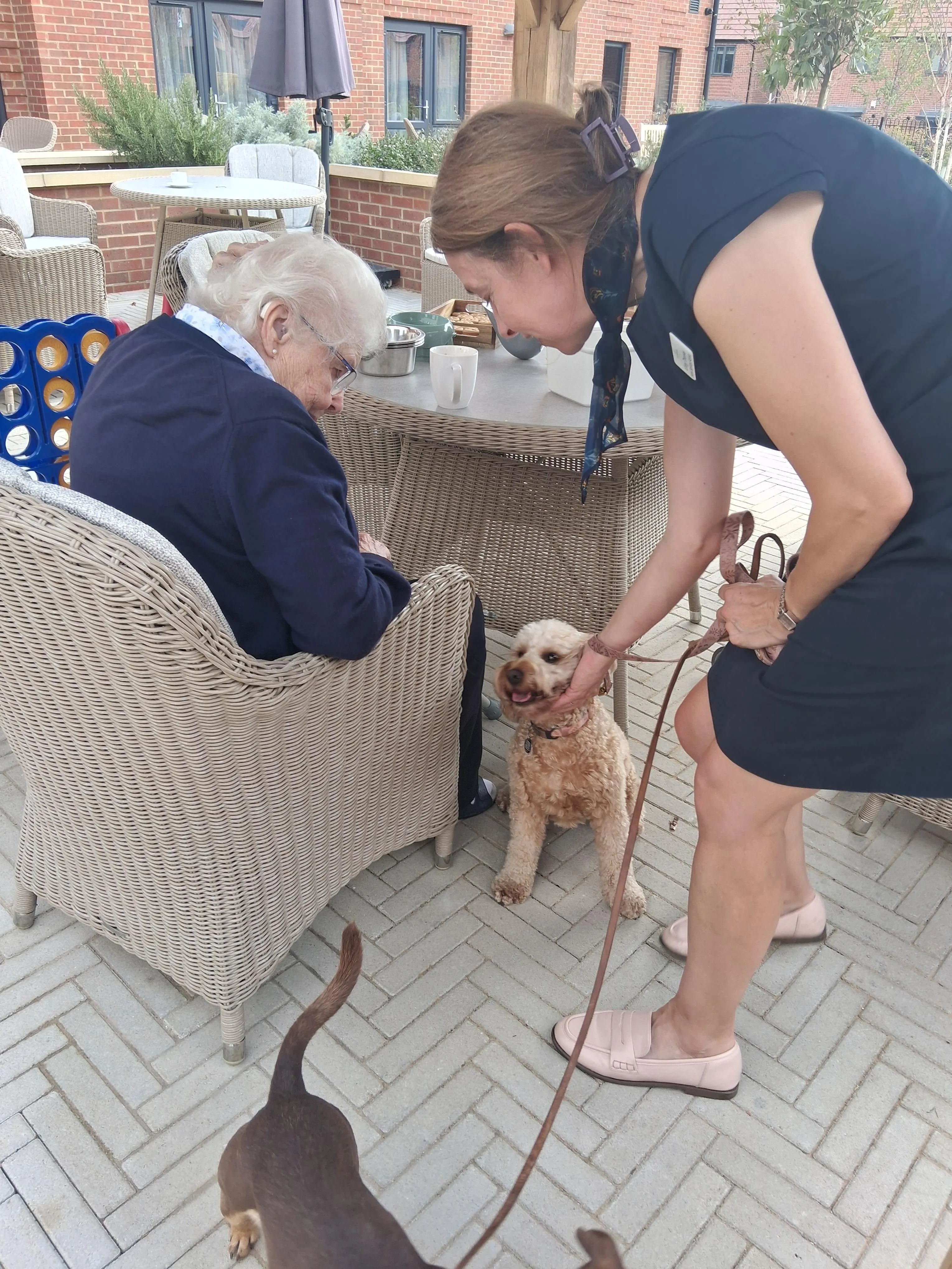 A Barking Good Café at Weystone Manor! 