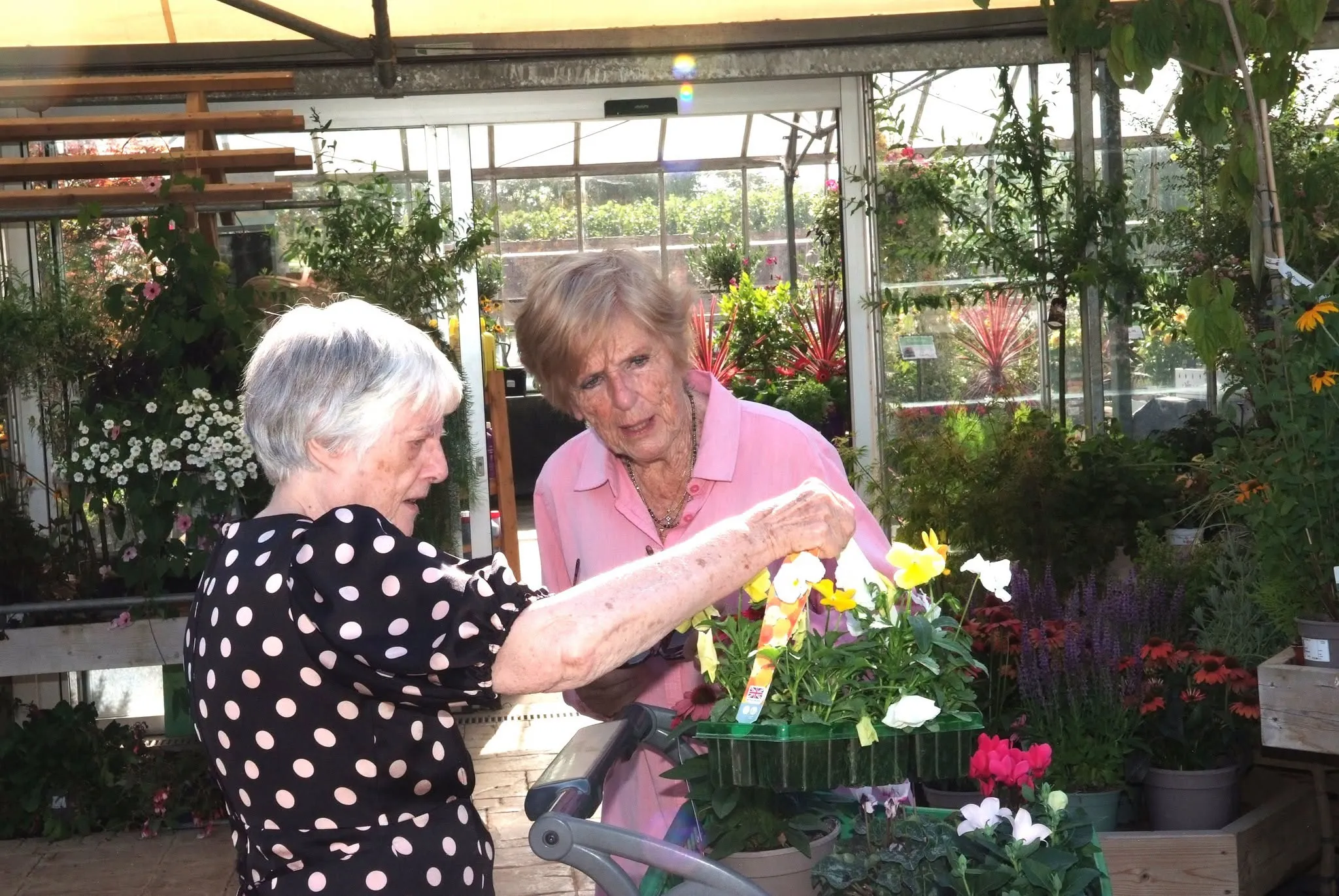 Tea, Scones & Seasonal Blooms!