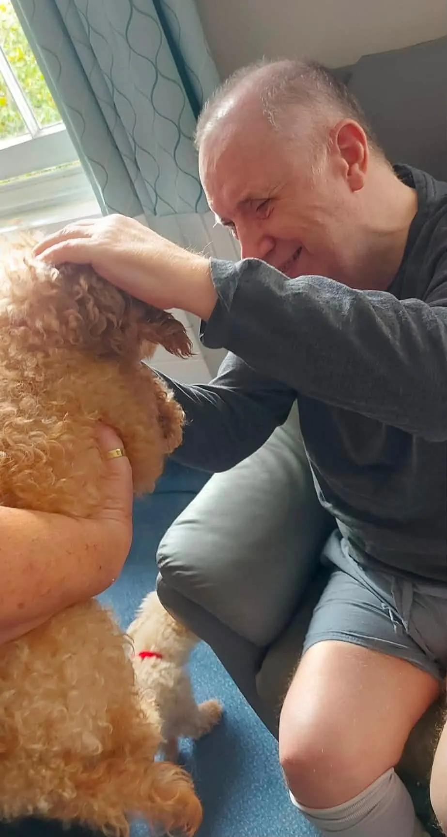 Therapy pet visit