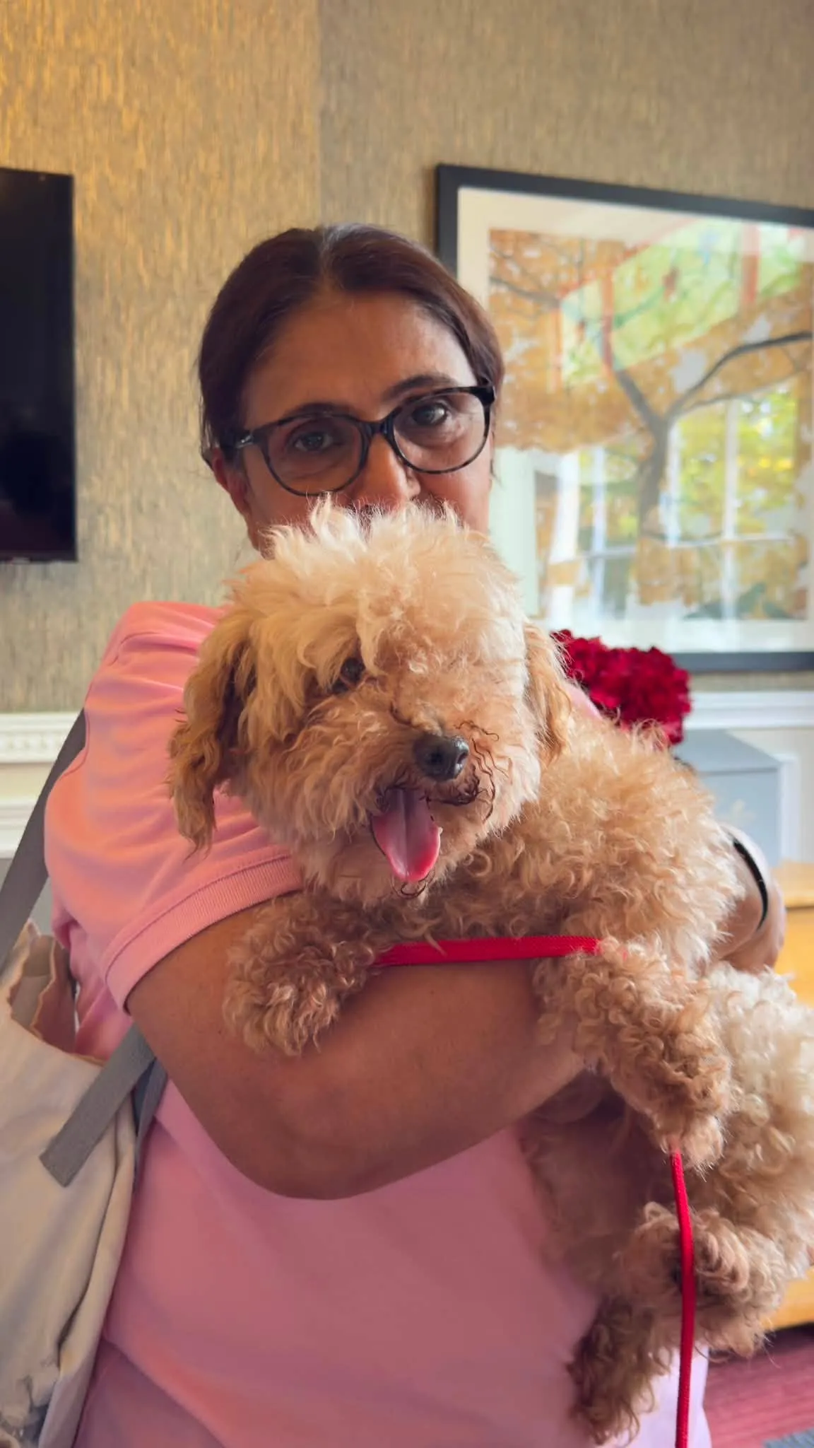 Therapy pet visit