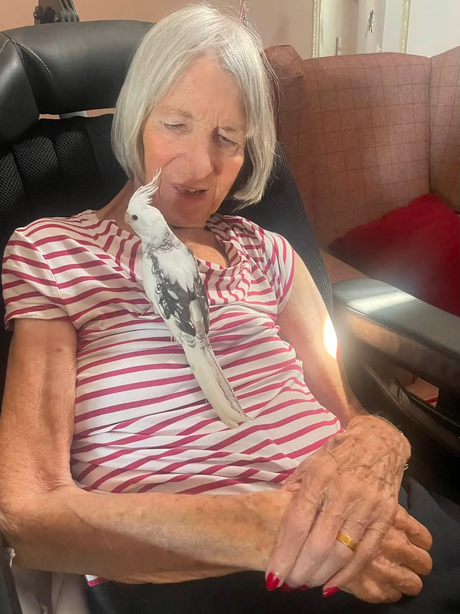 A Very Special Pet Visit to Bushey House
