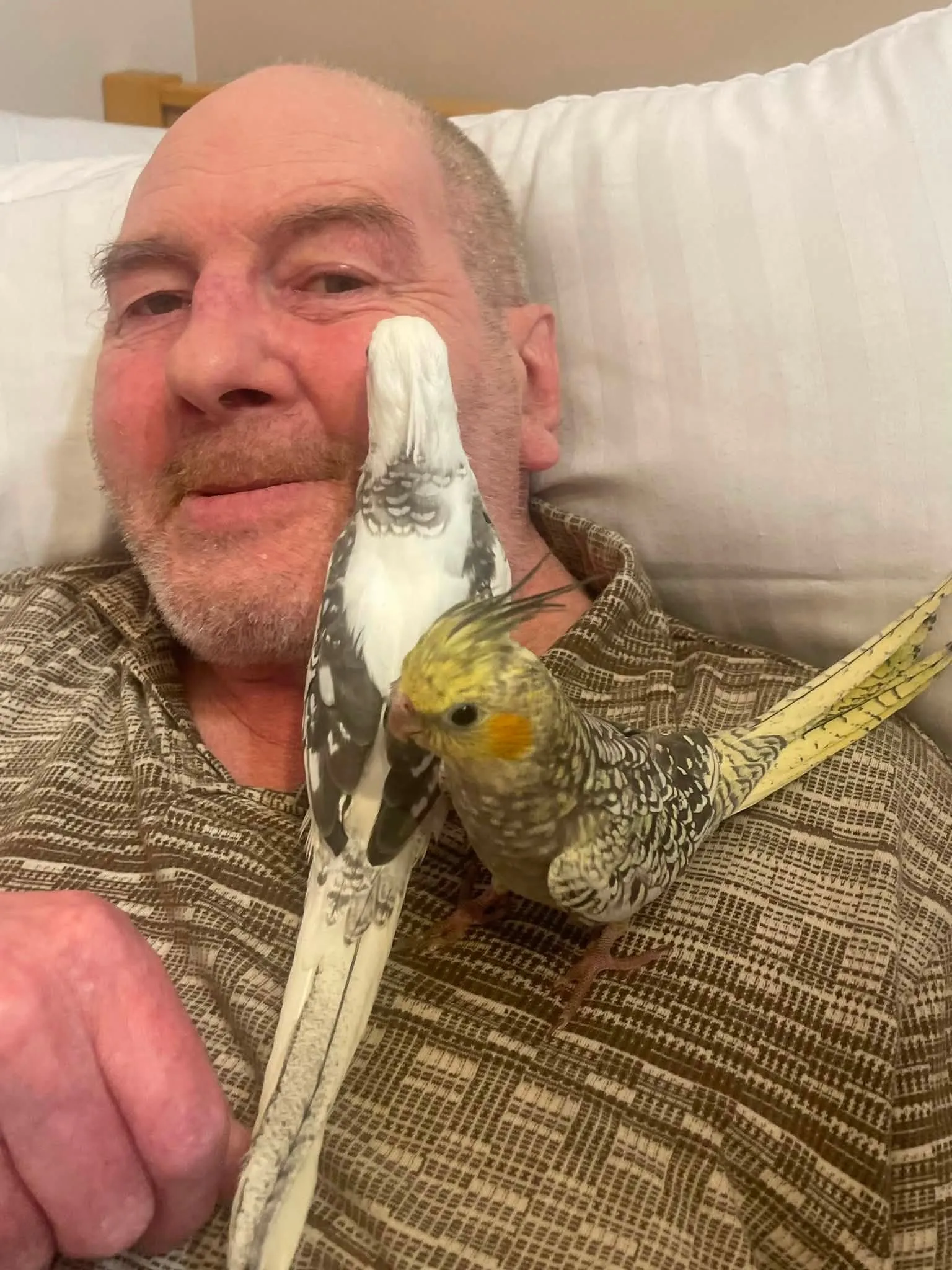 A Very Special Pet Visit to Bushey House