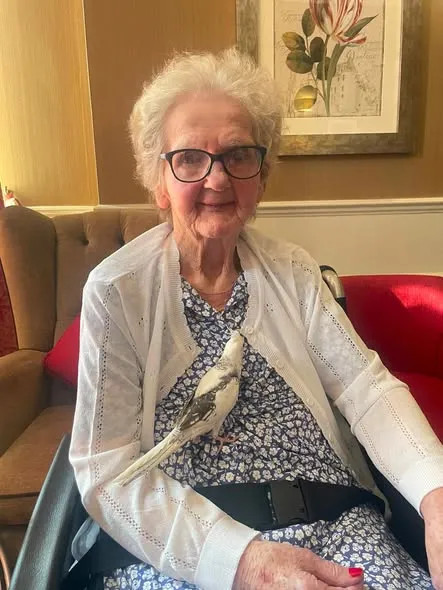 A Very Special Pet Visit to Bushey House